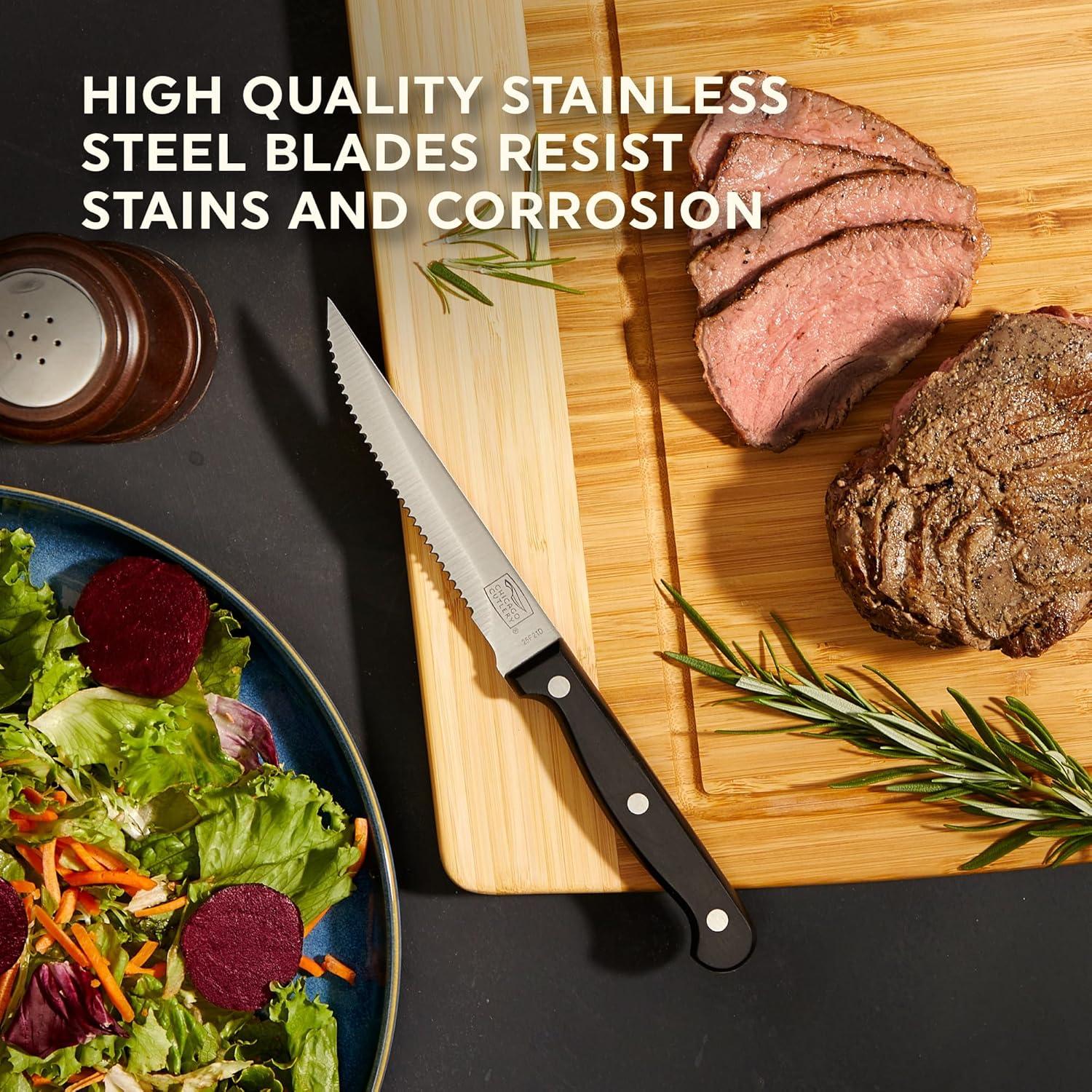 iH casadécor IH Casadécor 4 Piece Stainless Steel Steak Knife Set (Set of 4)