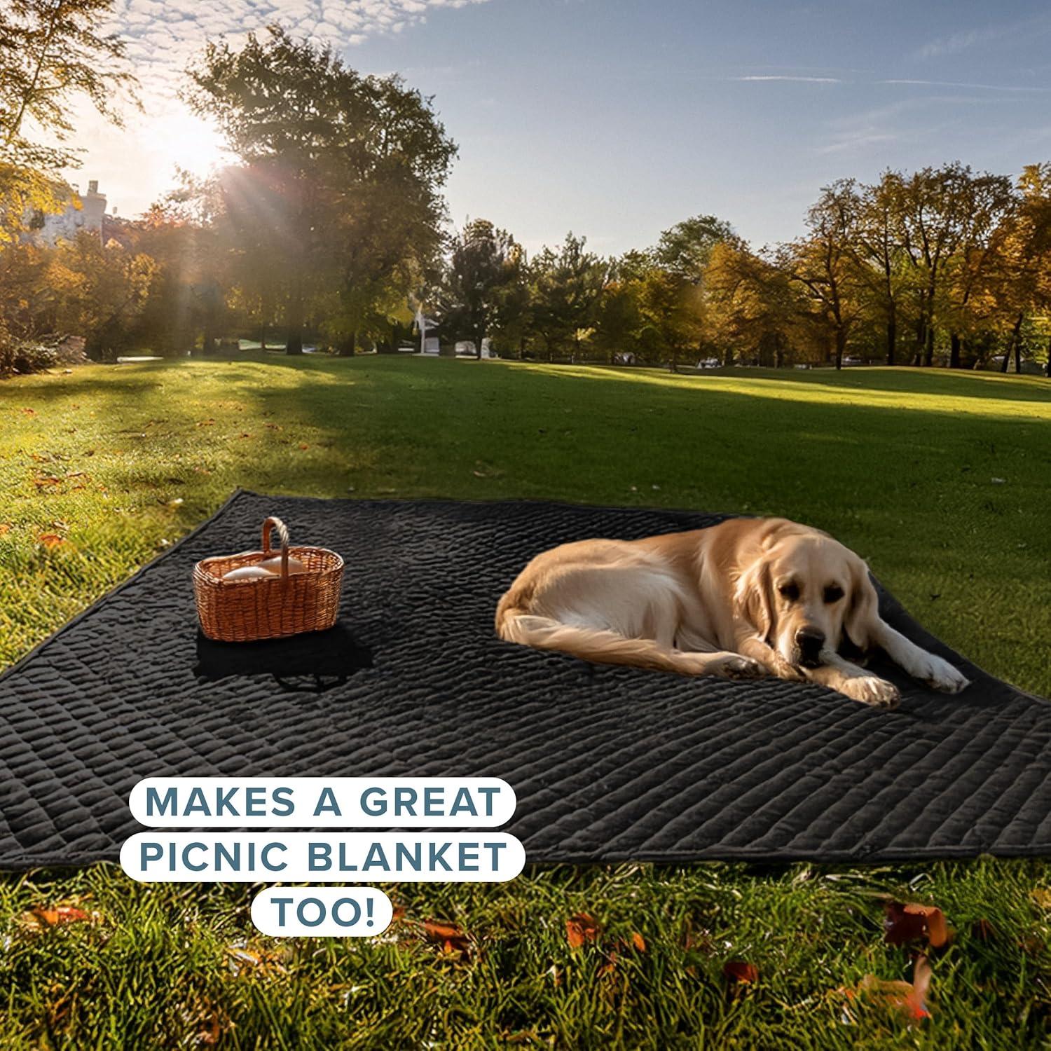 Bare Home Modern & Contemporary Coverlet Set