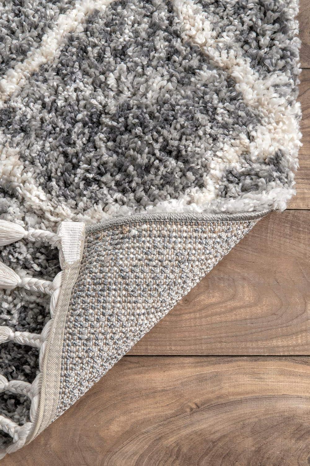 nuLOOM Transitional Kristi Shag Area Rug