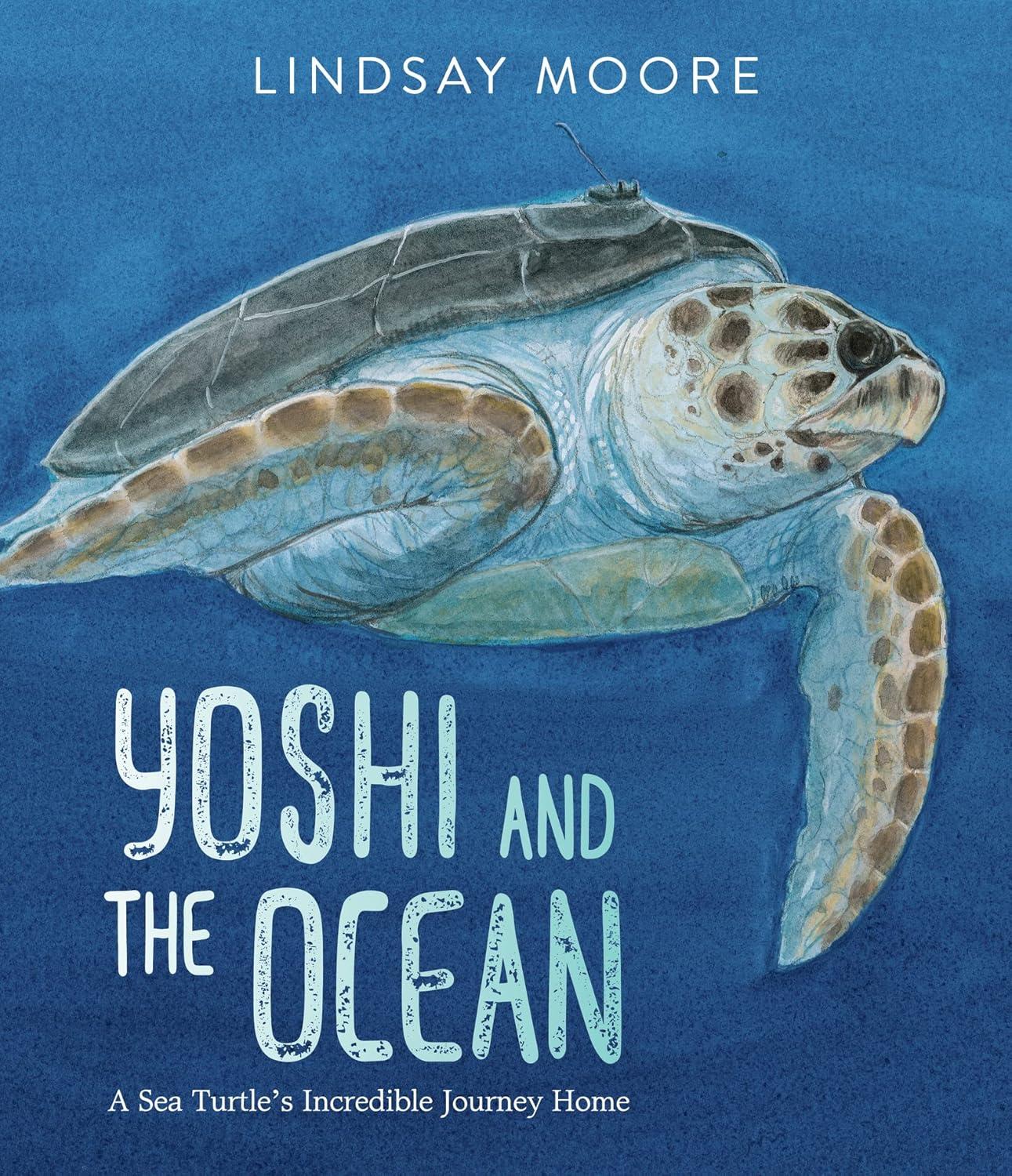 Yoshi and the Ocean - by  Lindsay Moore (Hardcover)