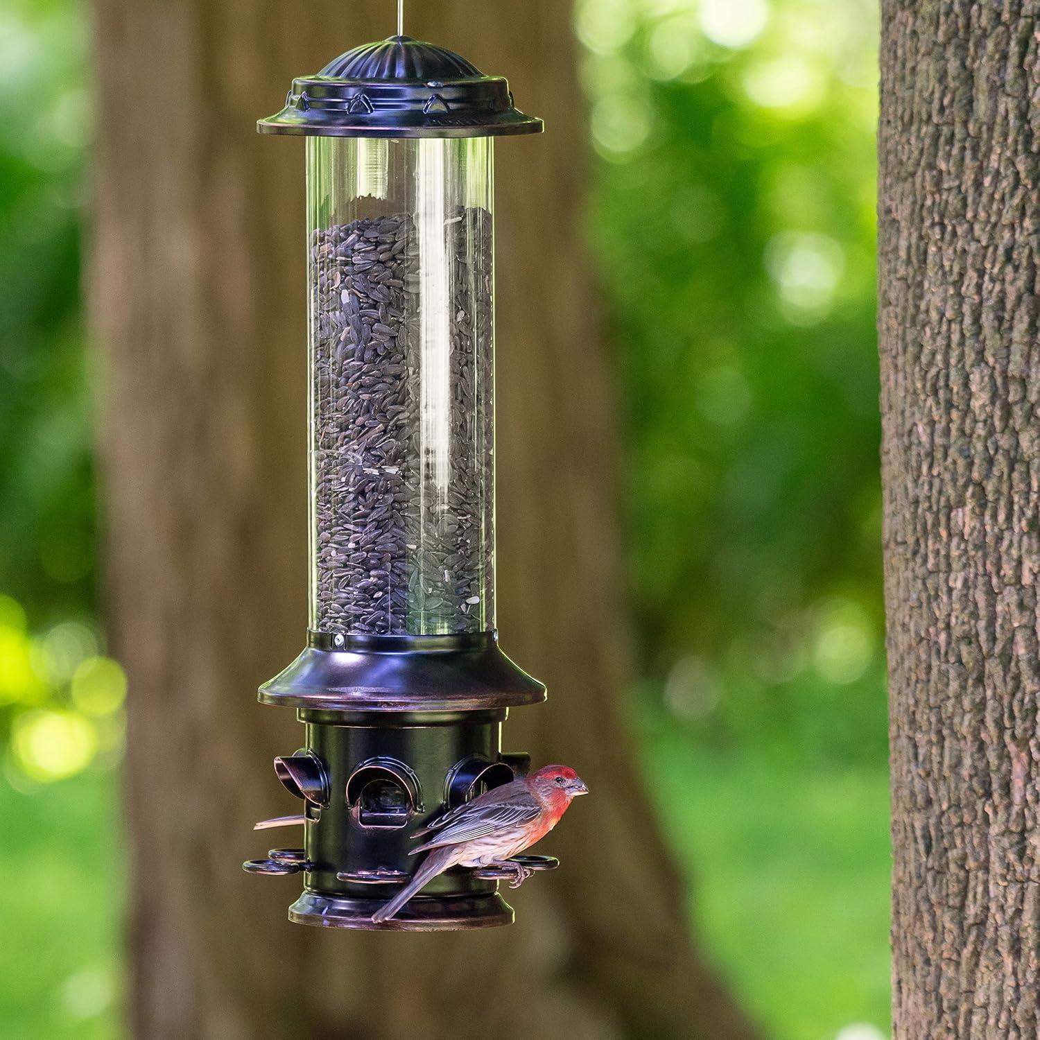 Oil-Rubbed Bronze Squirrel Resistant Hanging Tube Bird Feeder