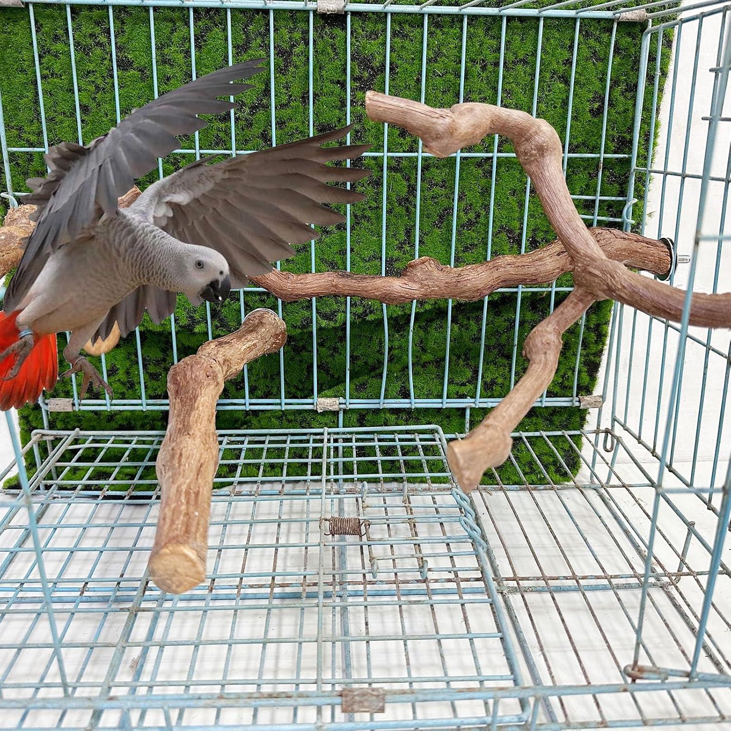 Allazone Natural Wooden Bird Perch Stand for Cage, Parrot Platform, Bird Perch Toy for Small Animals, Cockatiels, Parakeets, Finches