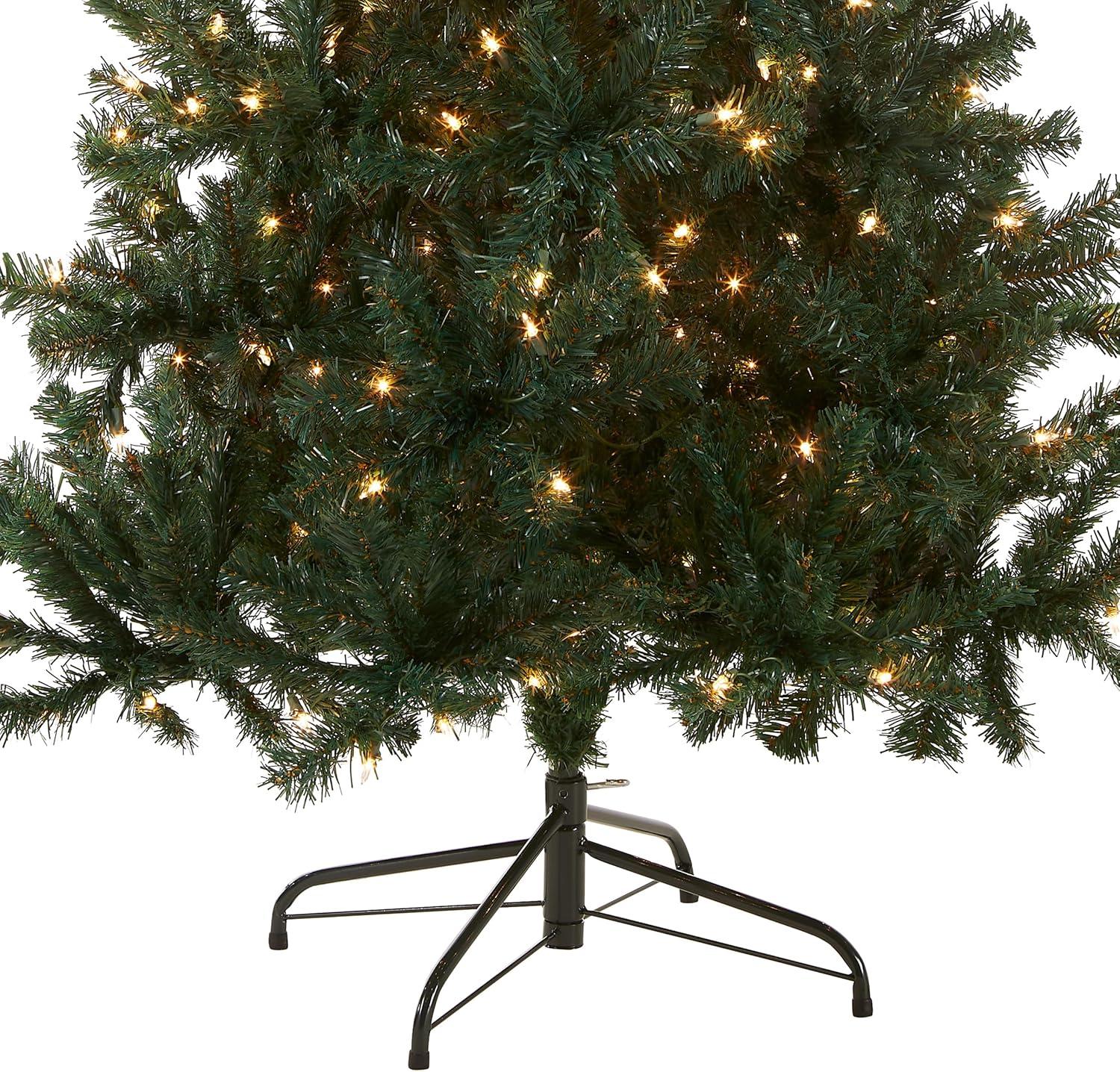 National Tree Company Pre-Lit Artificial Christmas Tree, Green, Acacia, 300 Clear Lights, Flocked, Includes Stand, 6 Feet