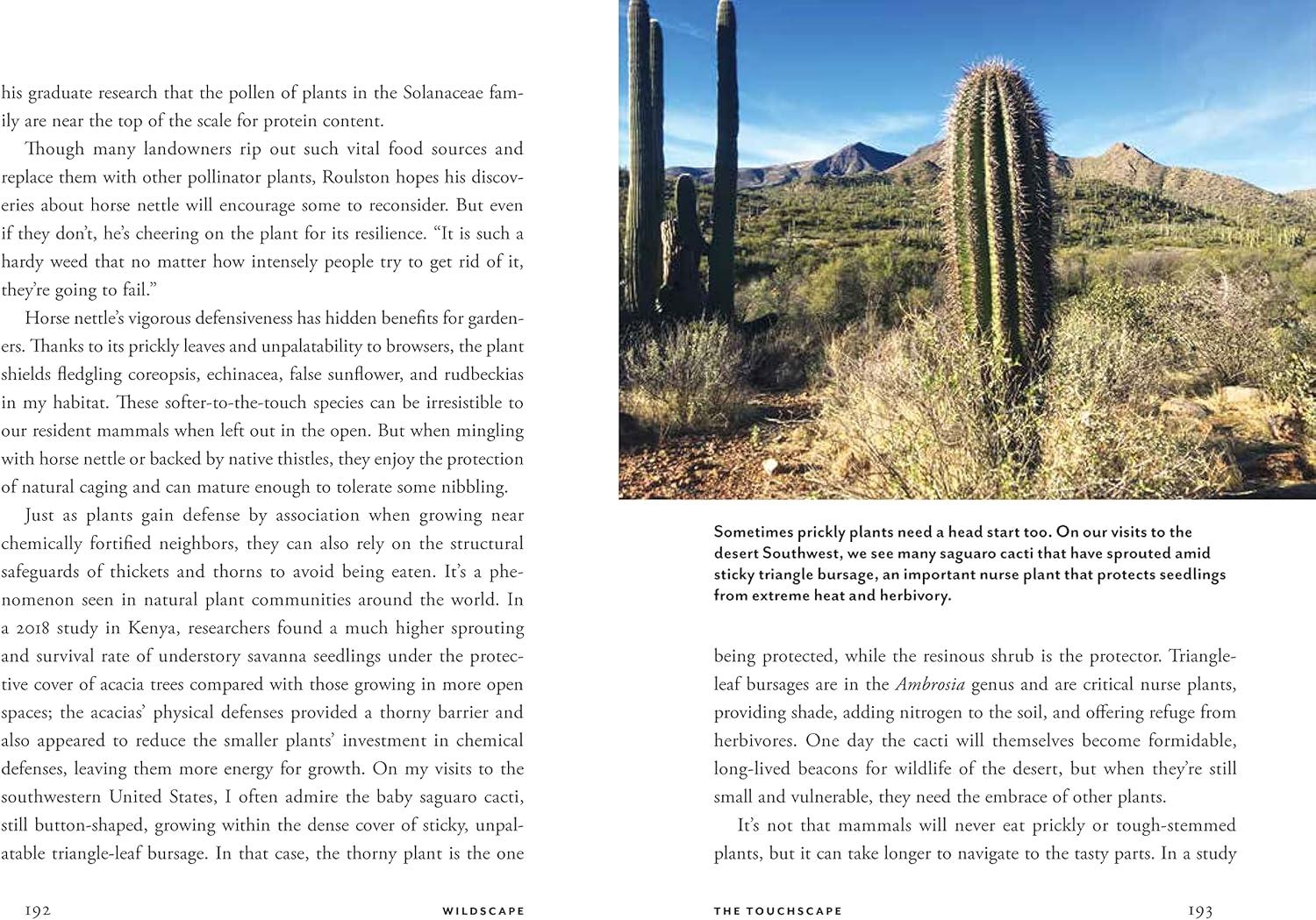 Wildscape Hardcover Book: Sensory Wonders of Nature