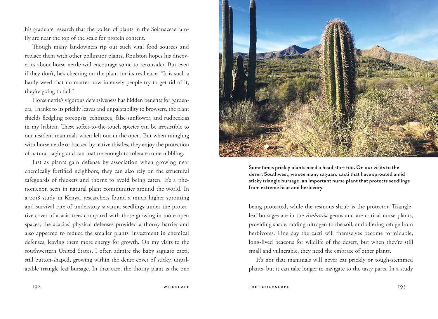 Wildscape Hardcover Book: Sensory Wonders of Nature