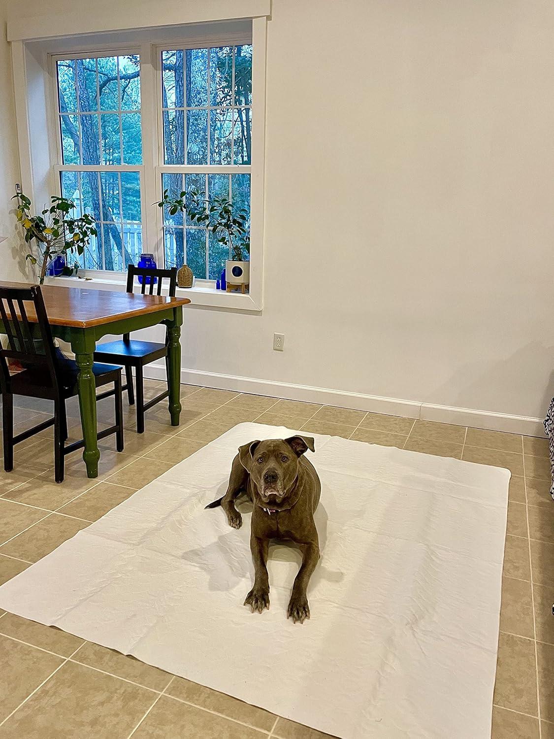 Midlee Washable Pee Pad for Dogs 60" x 72" Pack of 3