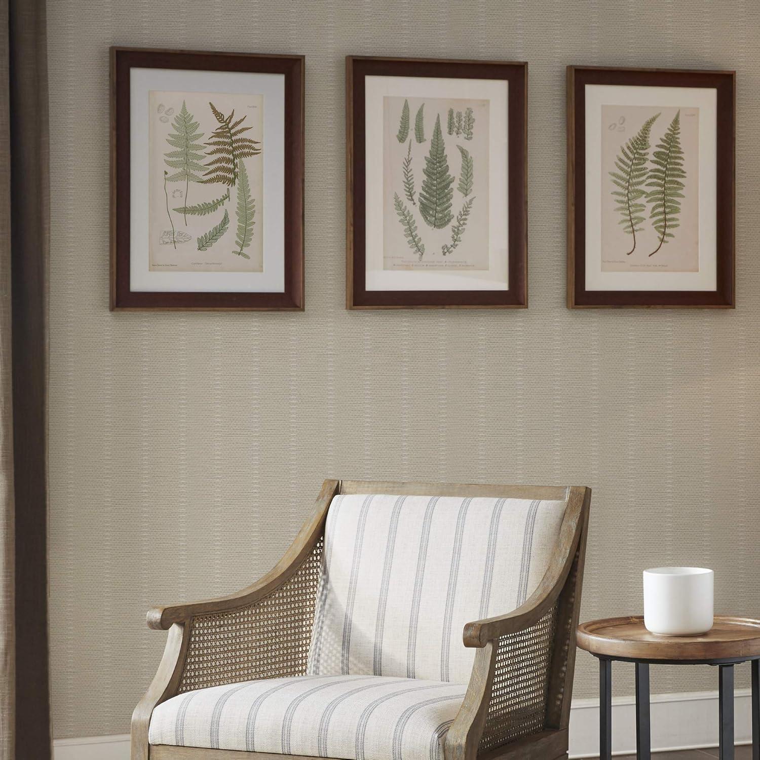 Martha Stewart Lady Fern Collection Botanical Illustration Single Mat Framed 3 Piece Wall Art Set