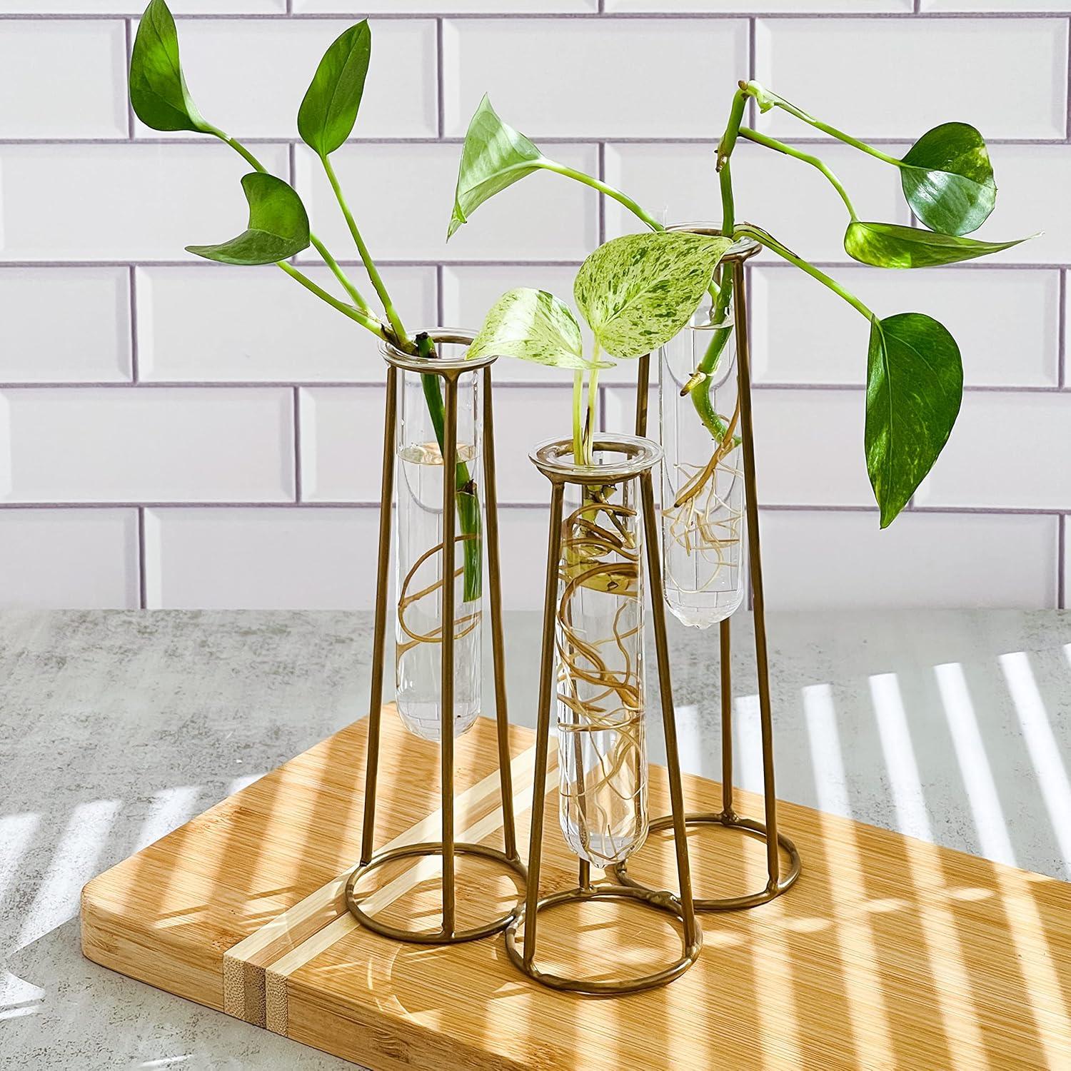 Propagation Station Terrariums with Gold Metal Stand - Kate Aspen | 3 Glass Test Tube Planters for Indoor Plants, Air Plants, Plant Clippings, Herbs, Succulents | Home Decor and Table Decoration