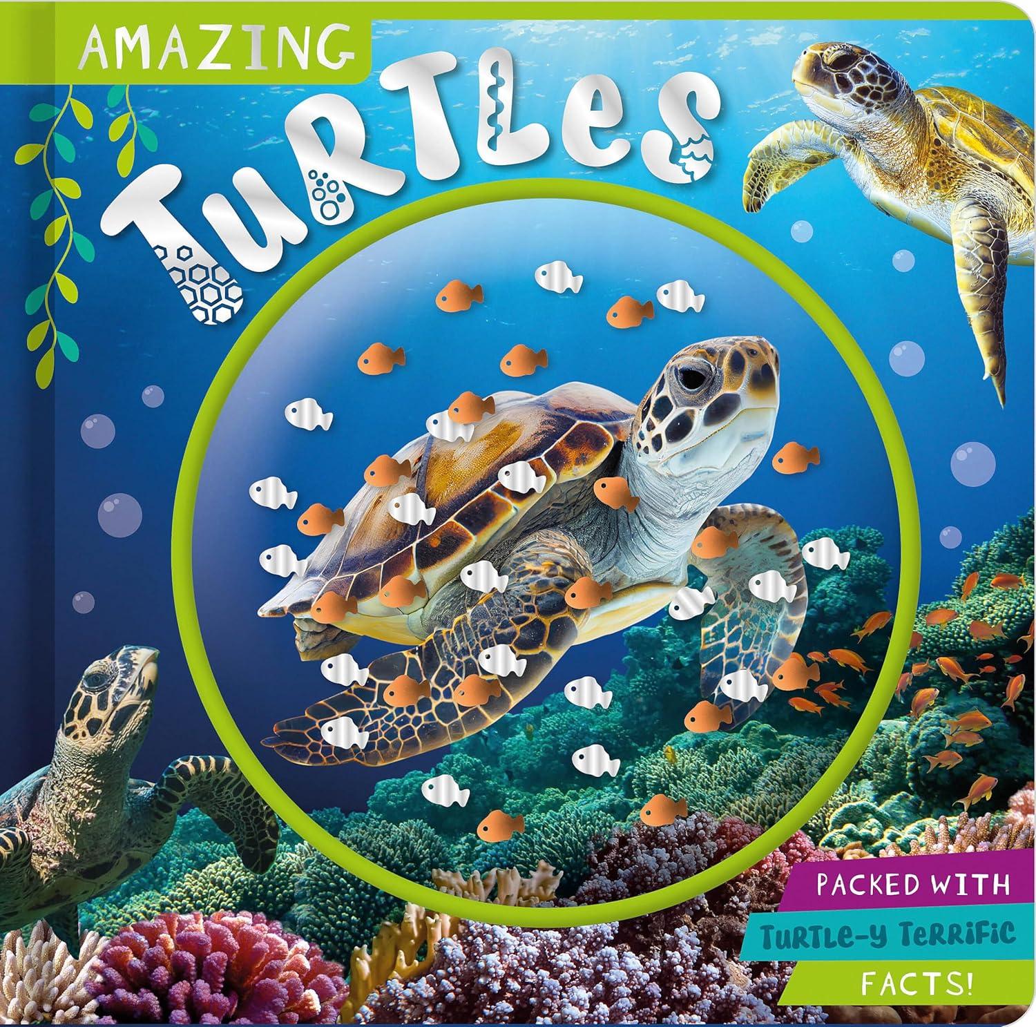 Amazing Turtles Nonfiction Board Book with Confetti Pouch