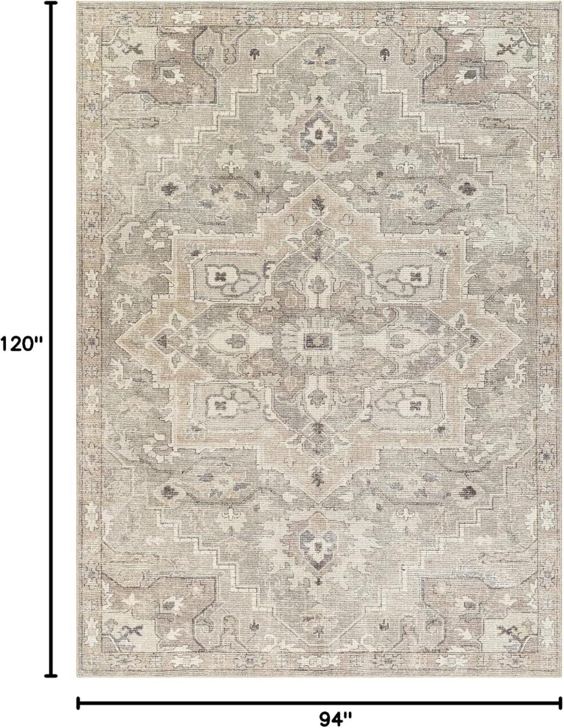 Livabliss Elaziz Boho Moroccan Area Rug,7'10" x 10'2",Gray