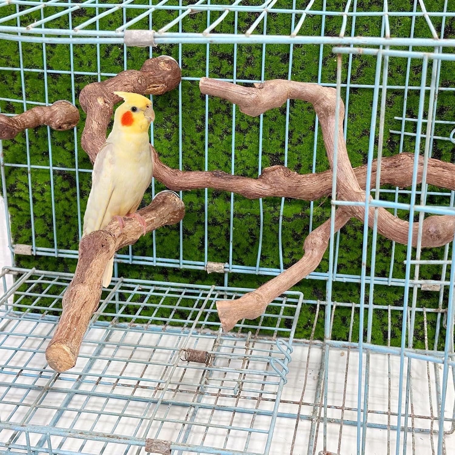 Natural Grapevine Bird Perch Set for Parrot Cages