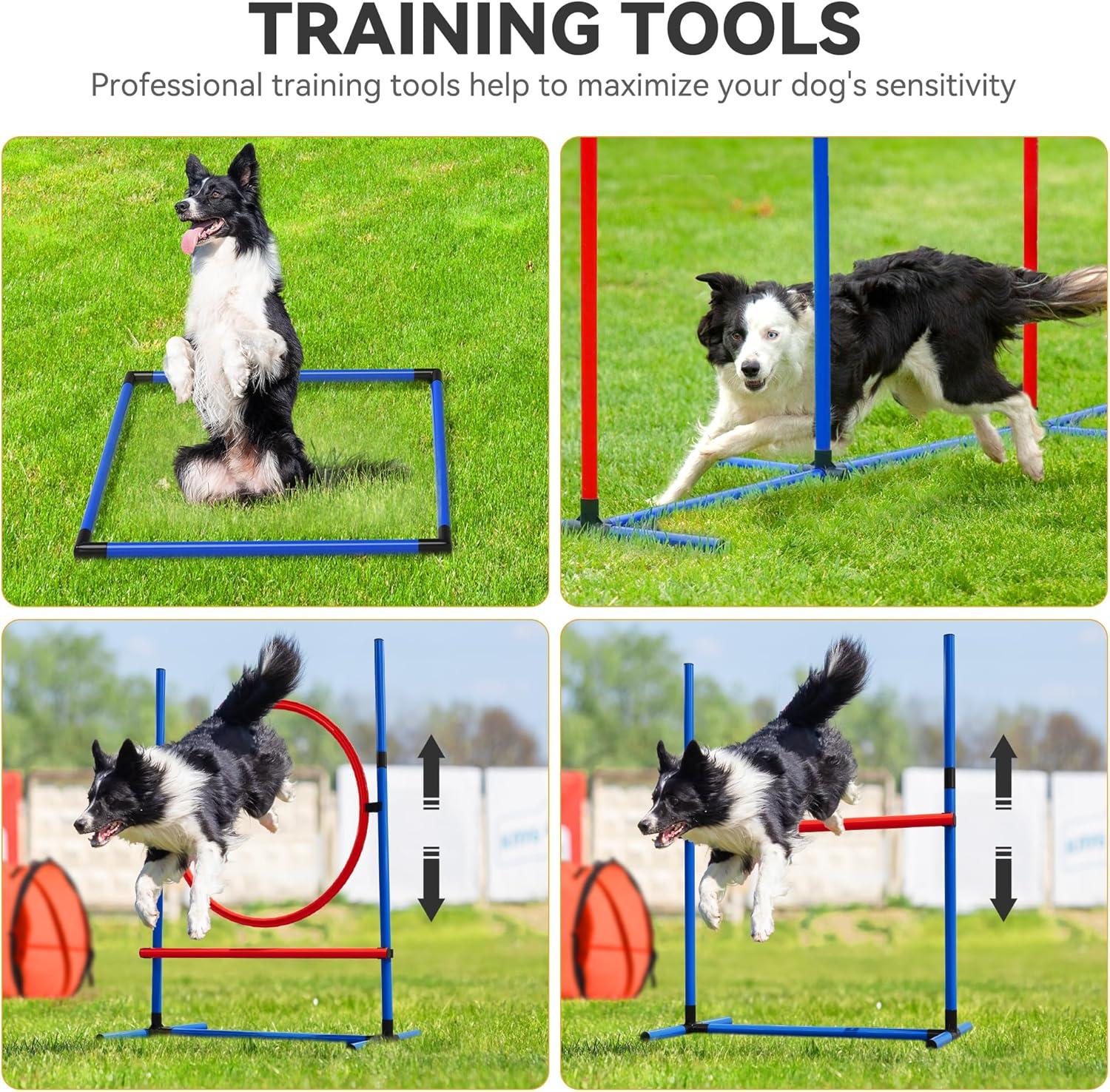 Red and Blue Dog Agility Training Set with Tunnels