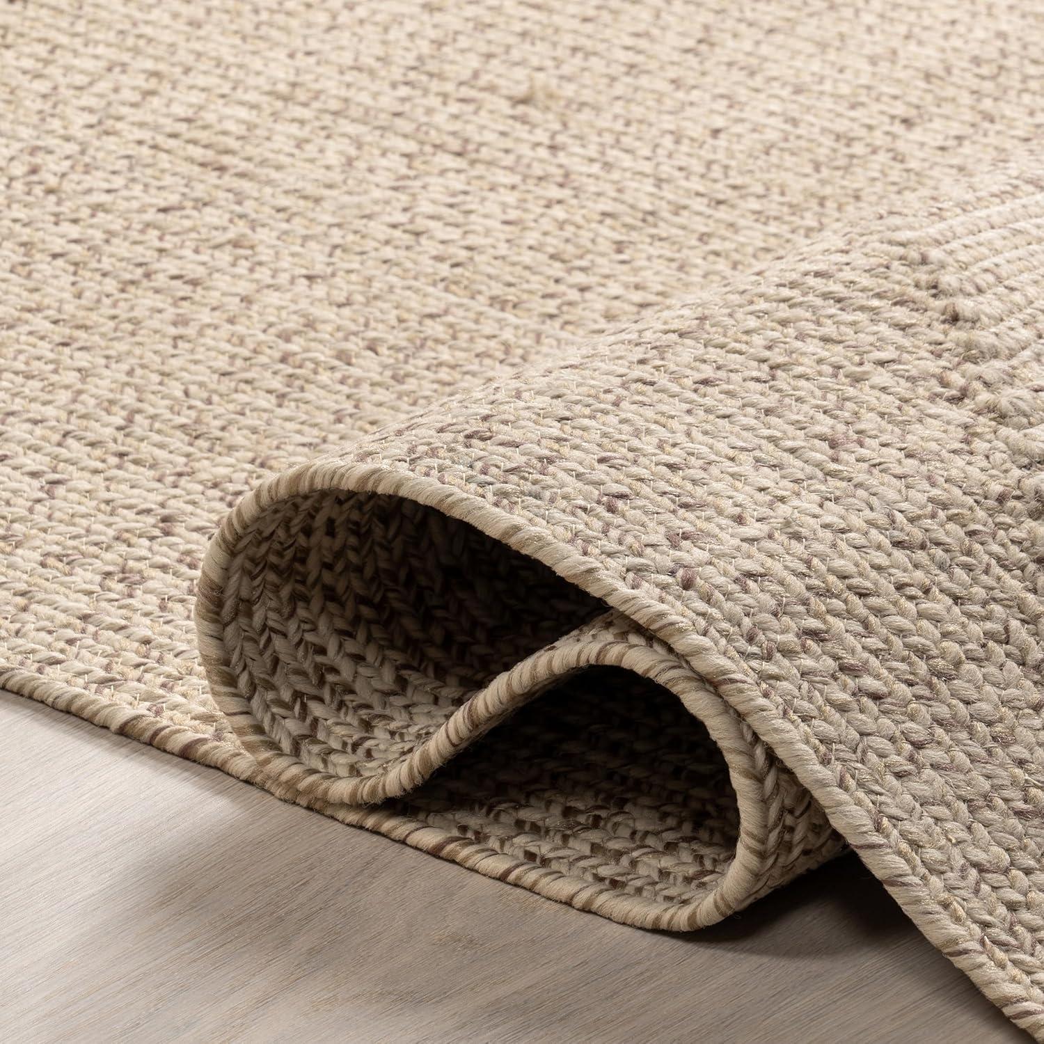 nuLOOM Wynn Braided Indoor/Outdoor Area Rug, 6' x 9', Tan