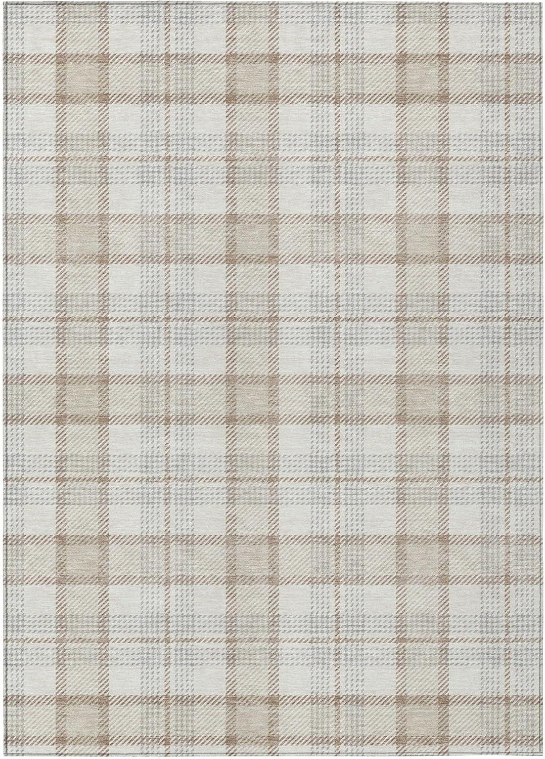 Machine Washable Indoor/Outdoor Chayden ACN1052 Rug