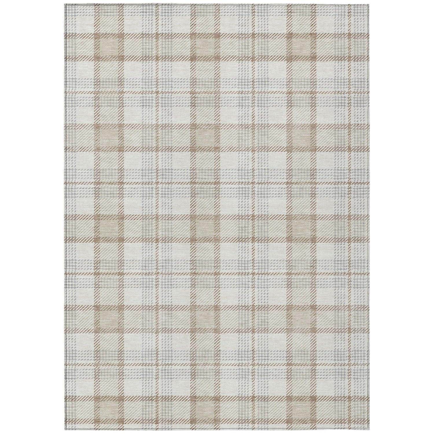 Machine Washable Indoor/Outdoor Chayden ACN1052 Rug