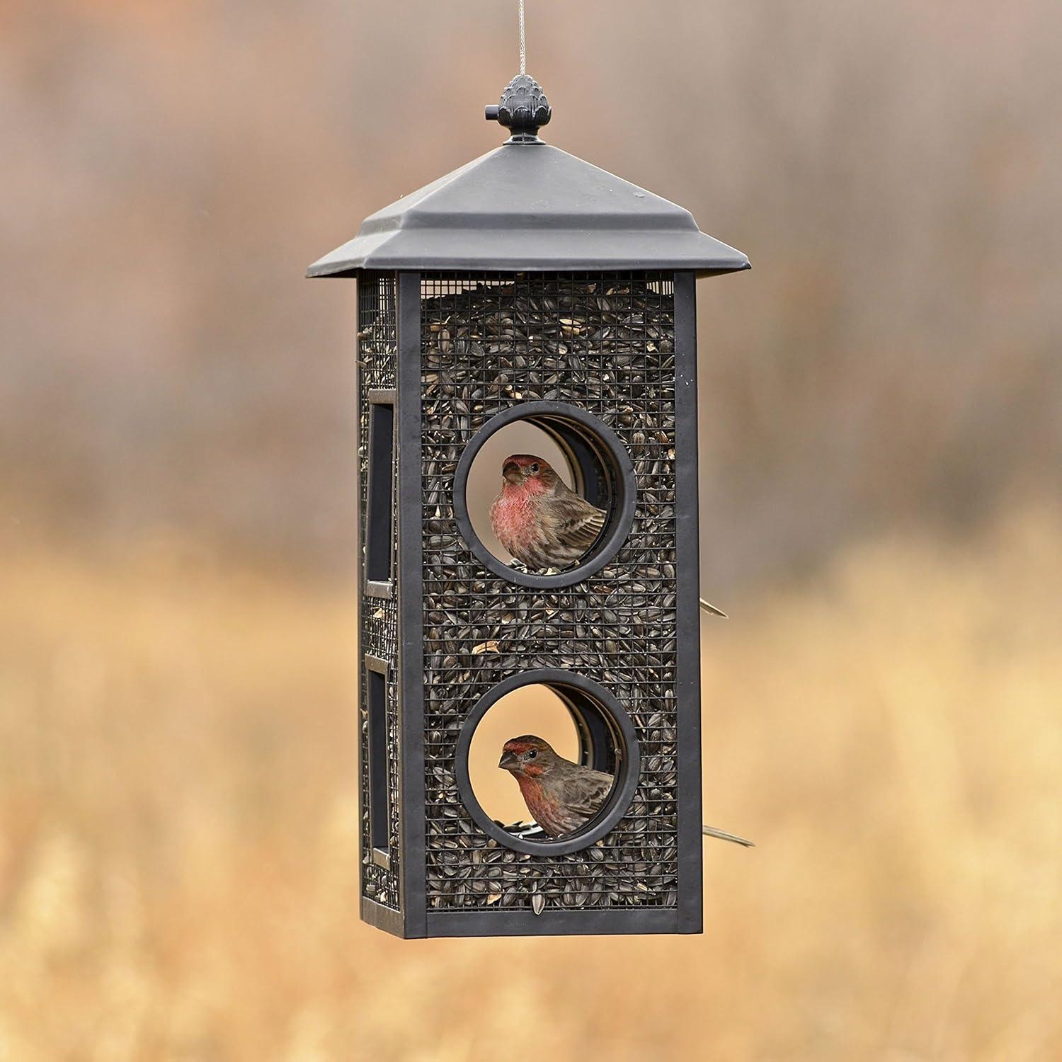 Perky-Pet Fly-Through Wild Bird Feeder