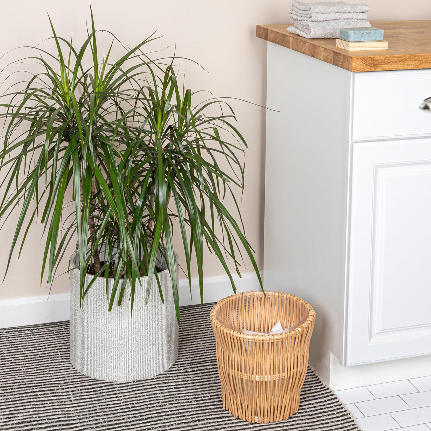 Household Essentials Small Reed Willow Waste Basket, Handwoven Basket with Removable Liner, Attractive Alternative to Plastic or Metal Cans, Natural