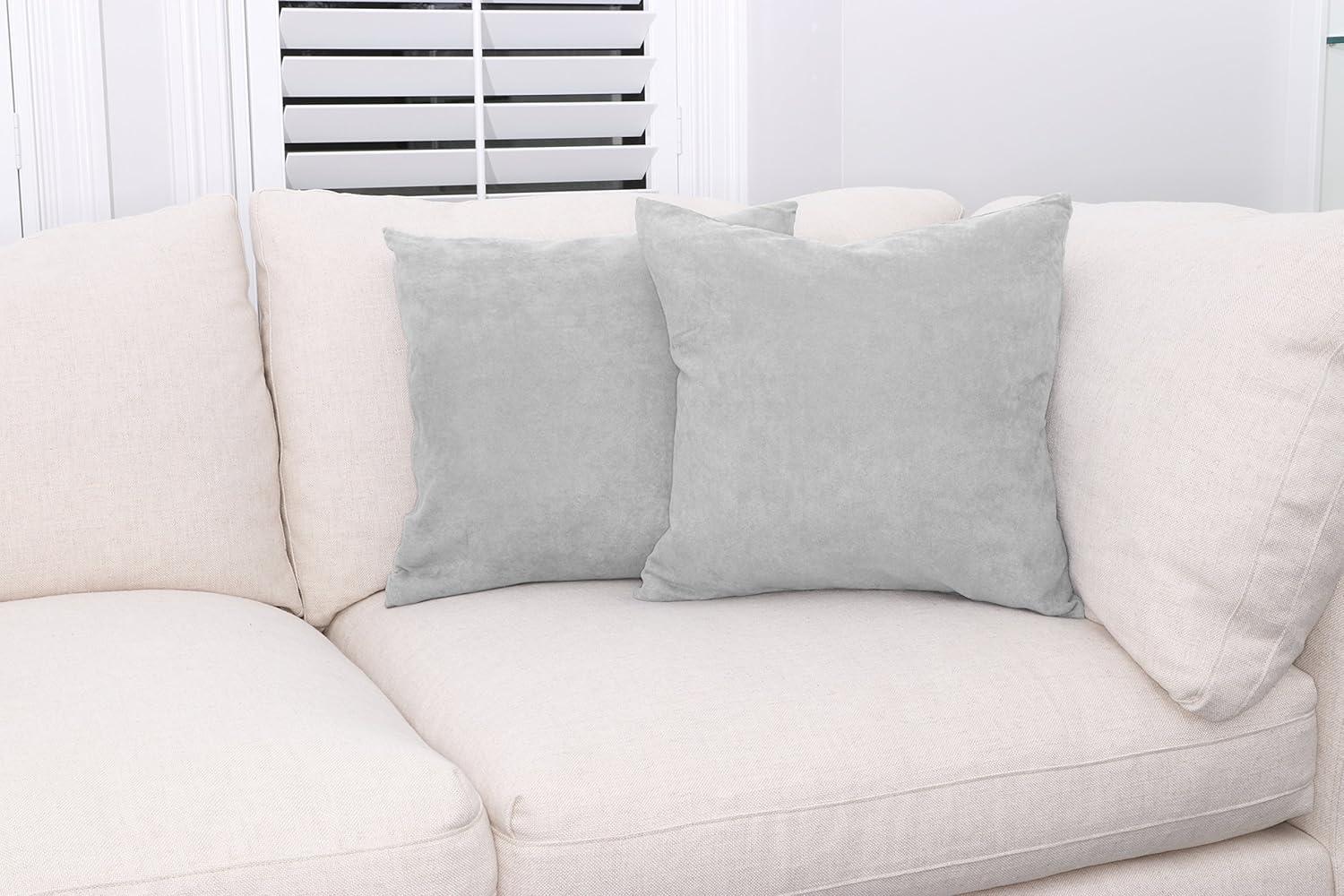 Deluxe Comfort Feather Throw Pillow (Set of 2)