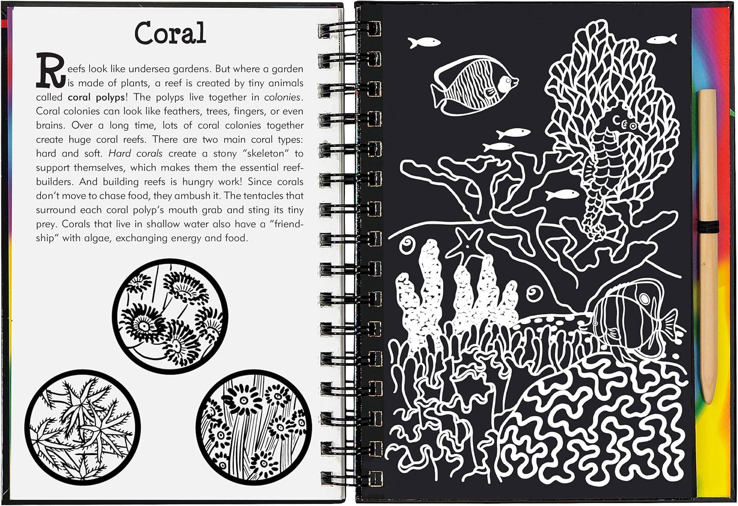 Scratch and Sketch Trace-Along Scratch & Sketch Coral Reefs, (Hardcover)