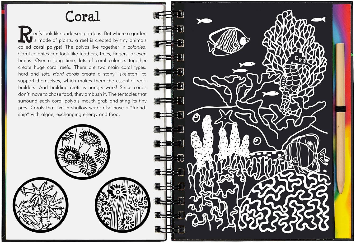 Scratch and Sketch Trace-Along Scratch & Sketch Coral Reefs, (Hardcover)