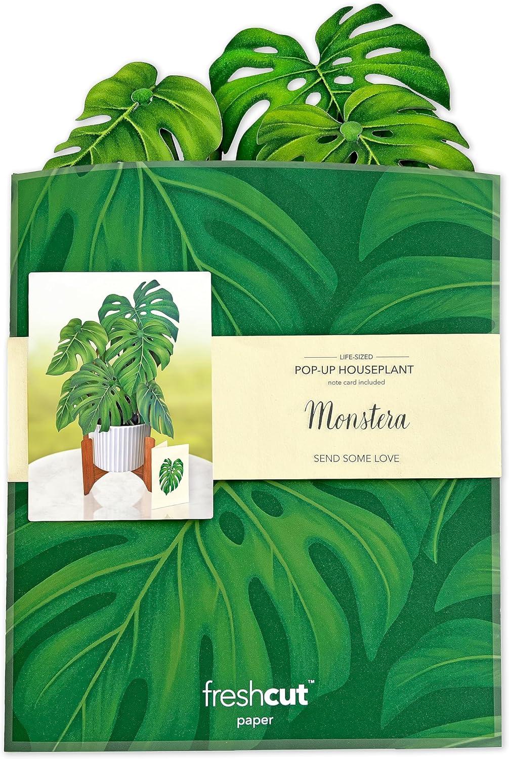 Freshcut Paper Pop Up Cards, Monstera, 12 Inch Life Sized Paper House Plants 3D Popup Greeting Cards, Birthday Card, Thank You Card, Blank Notecard & Envelope