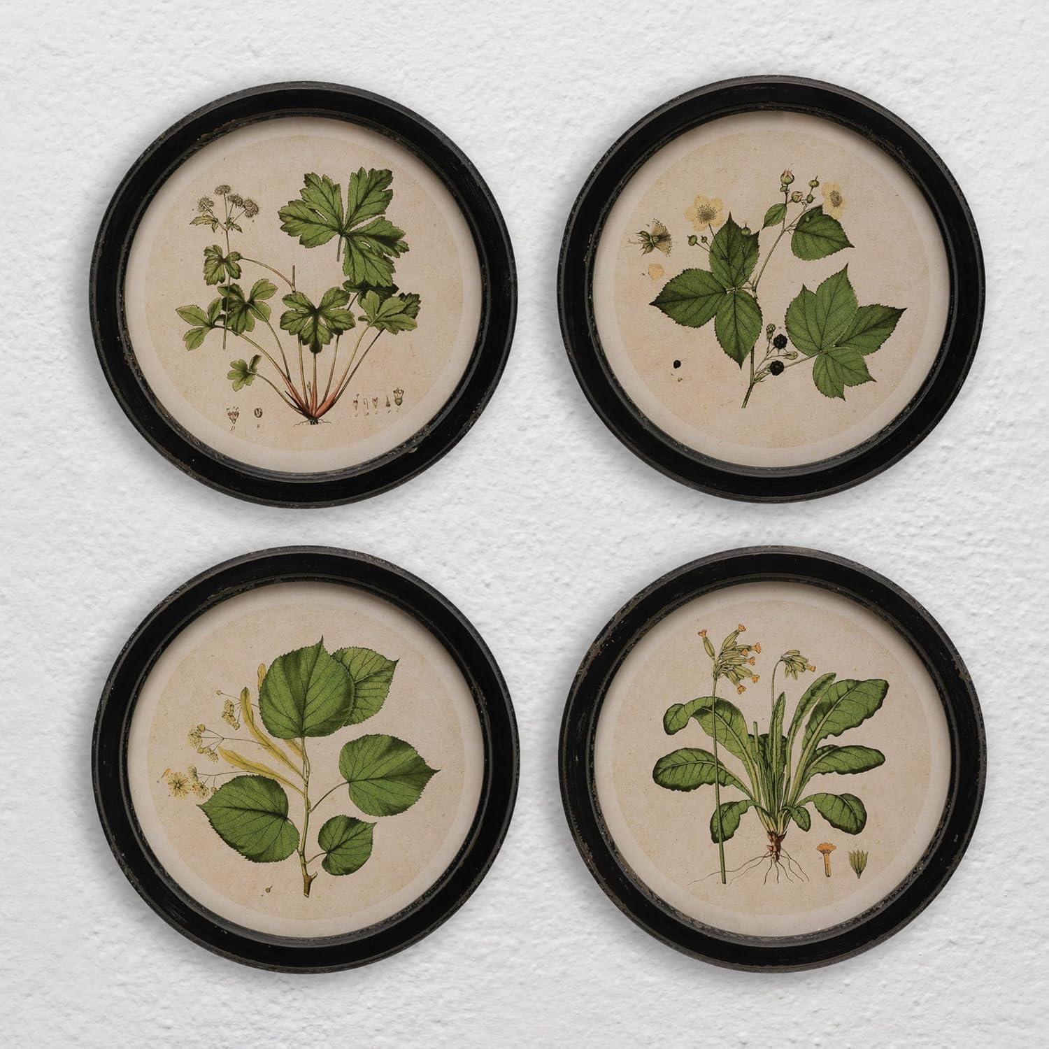 (Set of 4) 13.75" Wood Framed Wall Art Sets with Vintage Reproduction Botanical Print - Storied Home: Elegant Home Decor