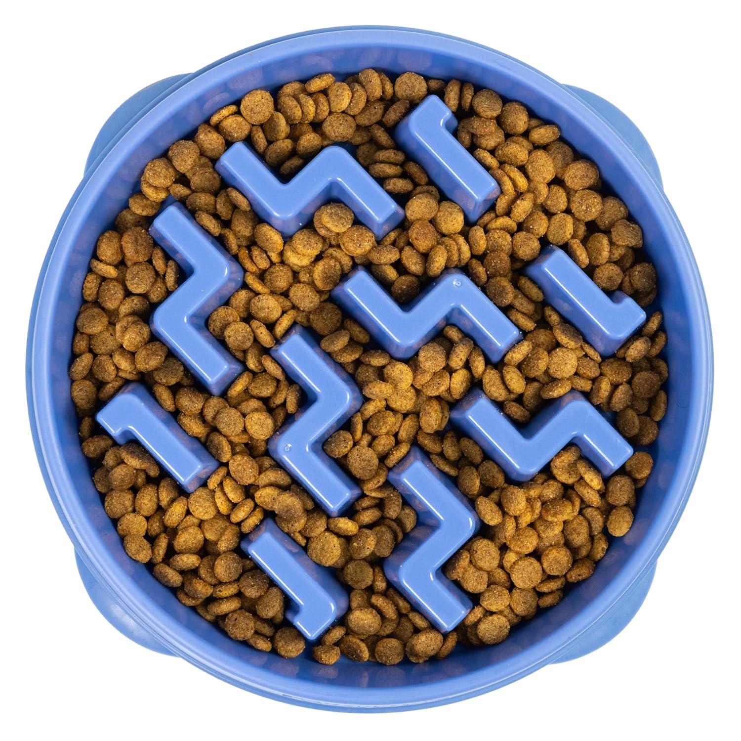 Outward Hound Outward Hound Fun Feeder Slow Bowl, Slow Feeder Dog Bowl, Blue