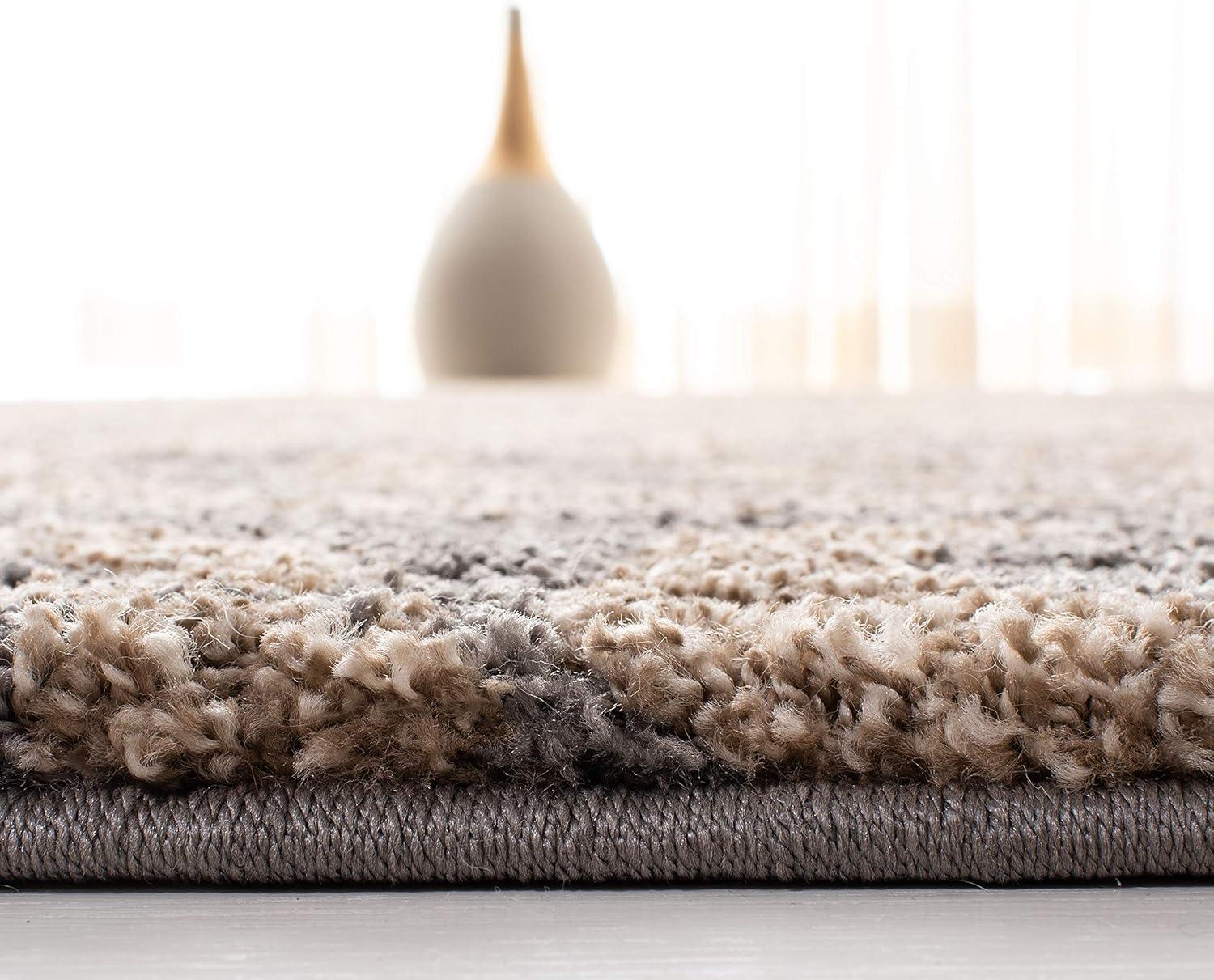 Florida Shag SG462 Power Loomed Indoor Area Rug - Grey/Beige - 4'x6' - Safavieh.