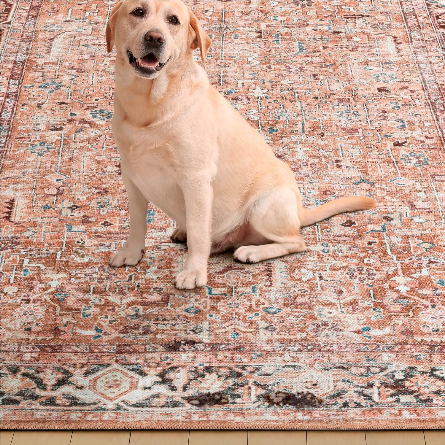 Home Dynamix Everwash Callaghan Edith Distressed Vintage Machine Washable Area Rug, Terracotta, 5'2"x7'2"