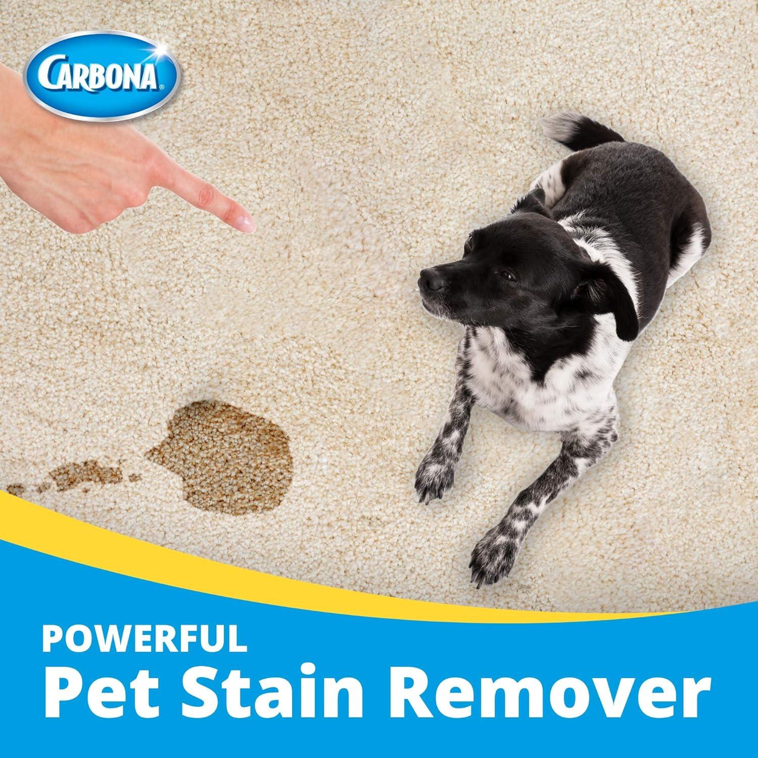 Carbona Oxy Powered Pet Stain & Odor Remover, Unscented, 22 fl oz Bottle