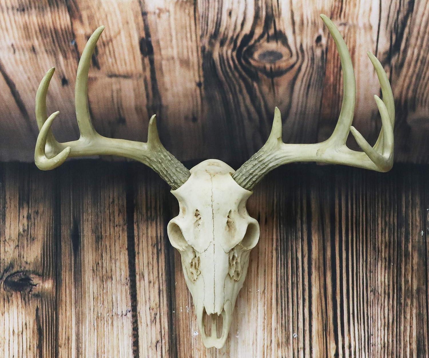Save 40% • Ebros Gift Rustic Hunter Deer 10 Point Buck Skull