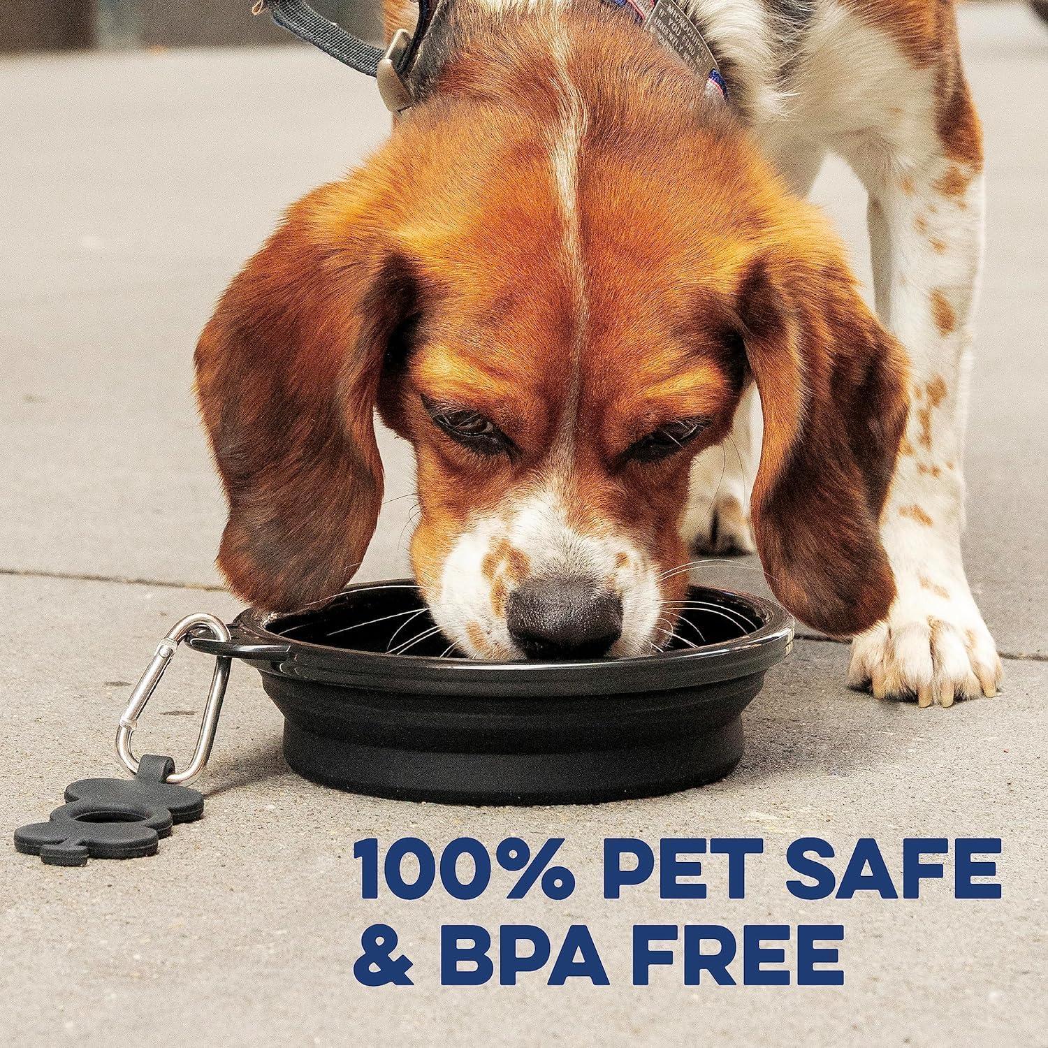 Bonza by Leash Boss Small Collapsible Dog Bowl, Sturdy Reinforced Rim, Includes Carabiner & Water Bottle Holder Keychain, Black