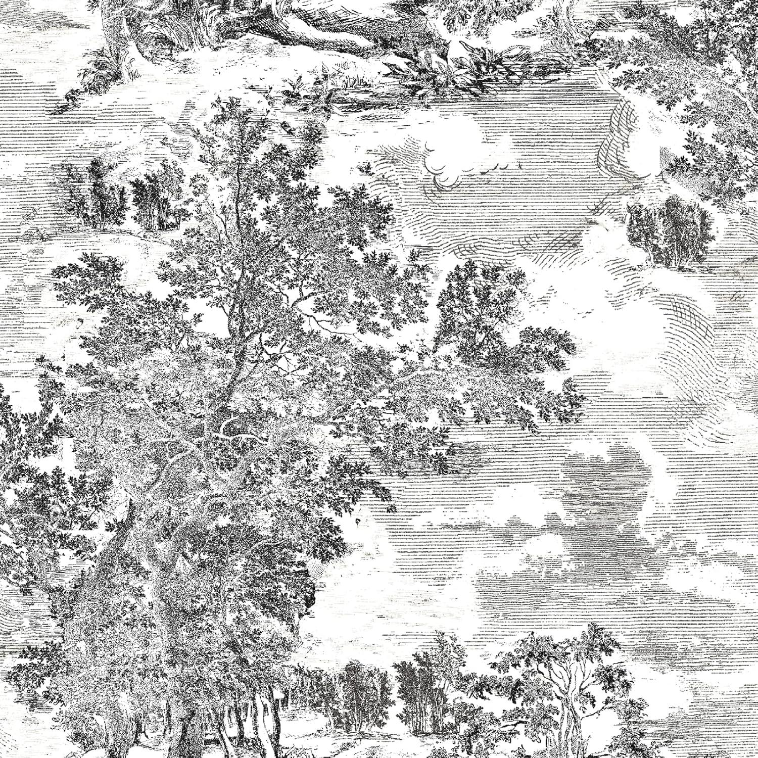 Charcoal Scenic Peel and Stick Wallpaper, 20.5" x 216"