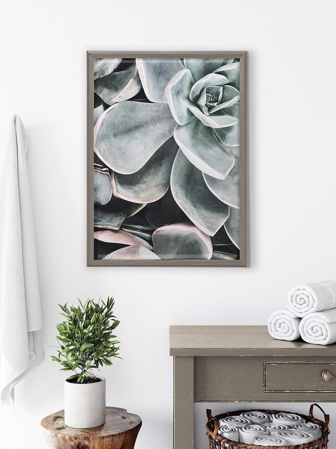 18" x 24" Blake Botanical Succulent Plants 2 Framed Printed Glass by the Creative Bunch Studio Gray - Kate & Laurel All Things Decor