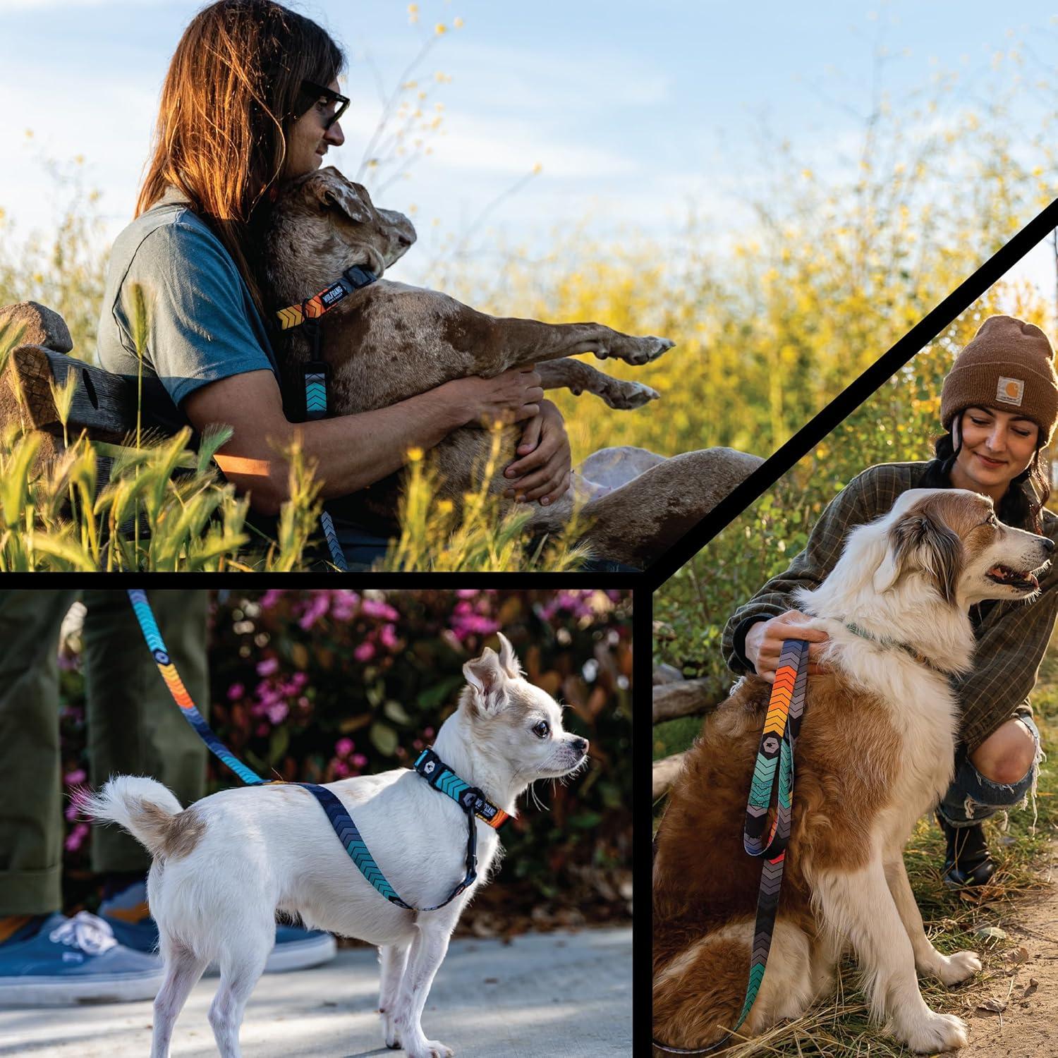 Wolfgang 8093076 18 in. Multi Color Chev Tech Polyester Dog Adjustable Collar, Medium