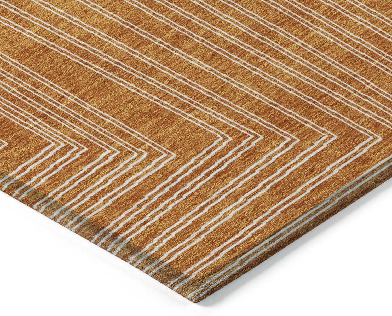 Machine Washable Indoor/Outdoor Chayden ACN1045 Paprika Rug