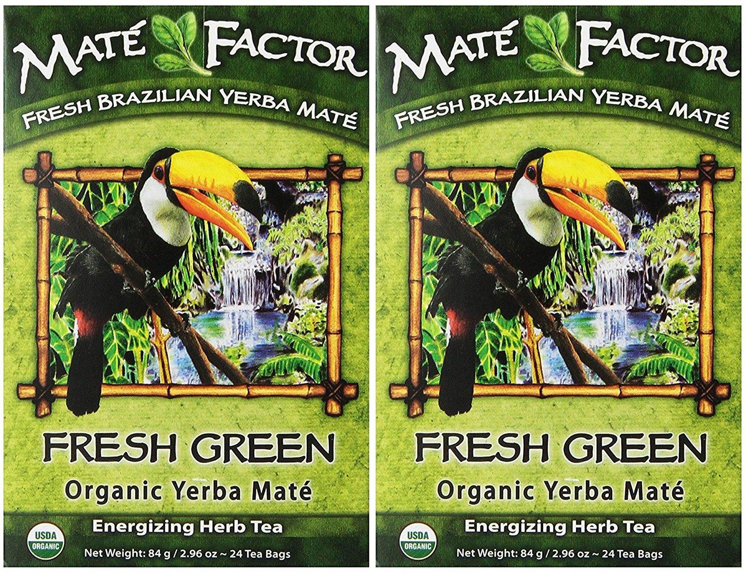 Fresh Green Organic Yerba Mate Energizing Herb Tea Bags