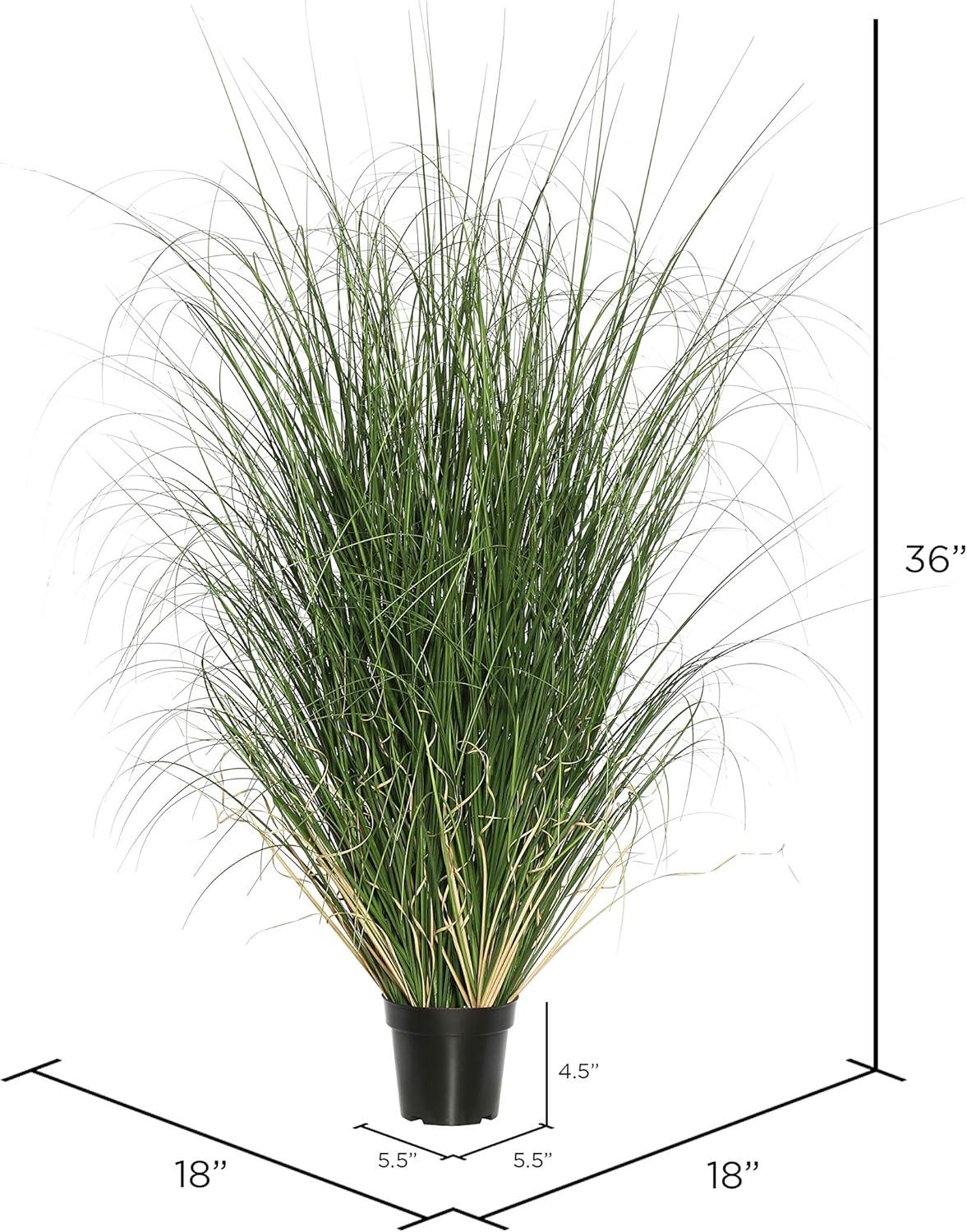 Vickerman Everyday 36" Artificial Potted Green Curled Grass - Lifelike Home Or Office Accent Decor - Premium Indoor Faux Potted Grass - Maintenance Free