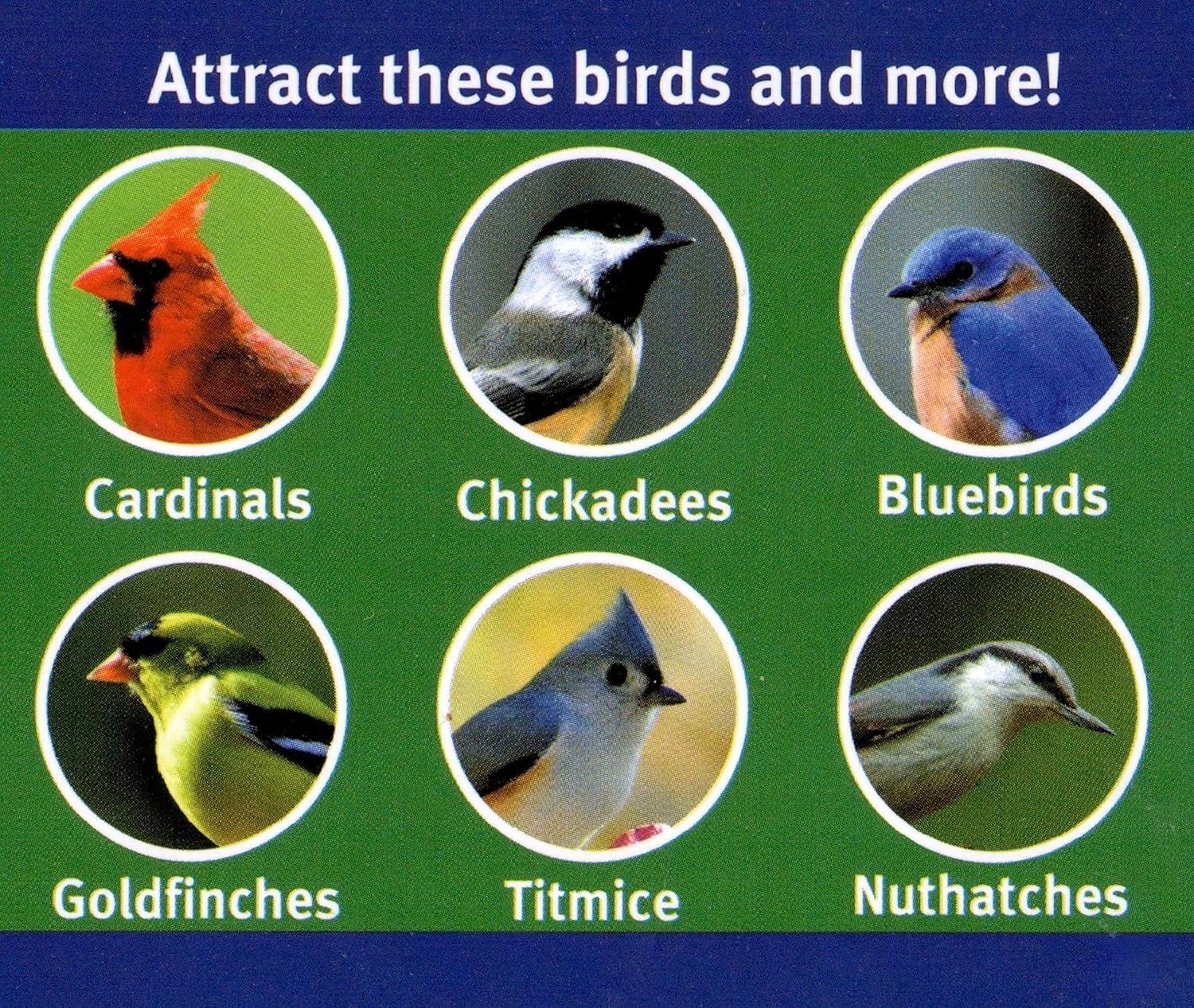 Clear Acrylic Surface Mount Bird Seed Tray with Drainage Holes