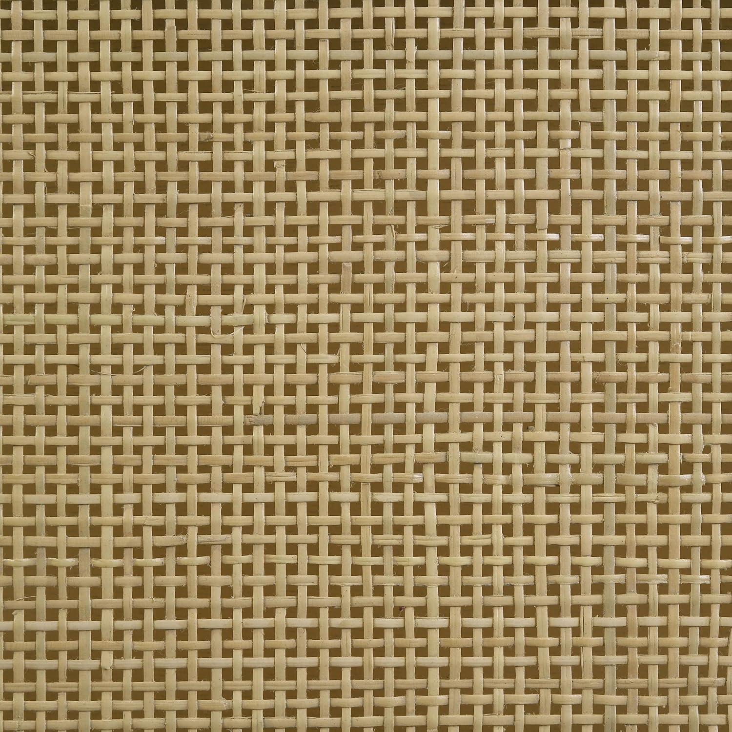 Coaster Arini Wood Queen Bed Woven Rattan Headboard Black and Natural