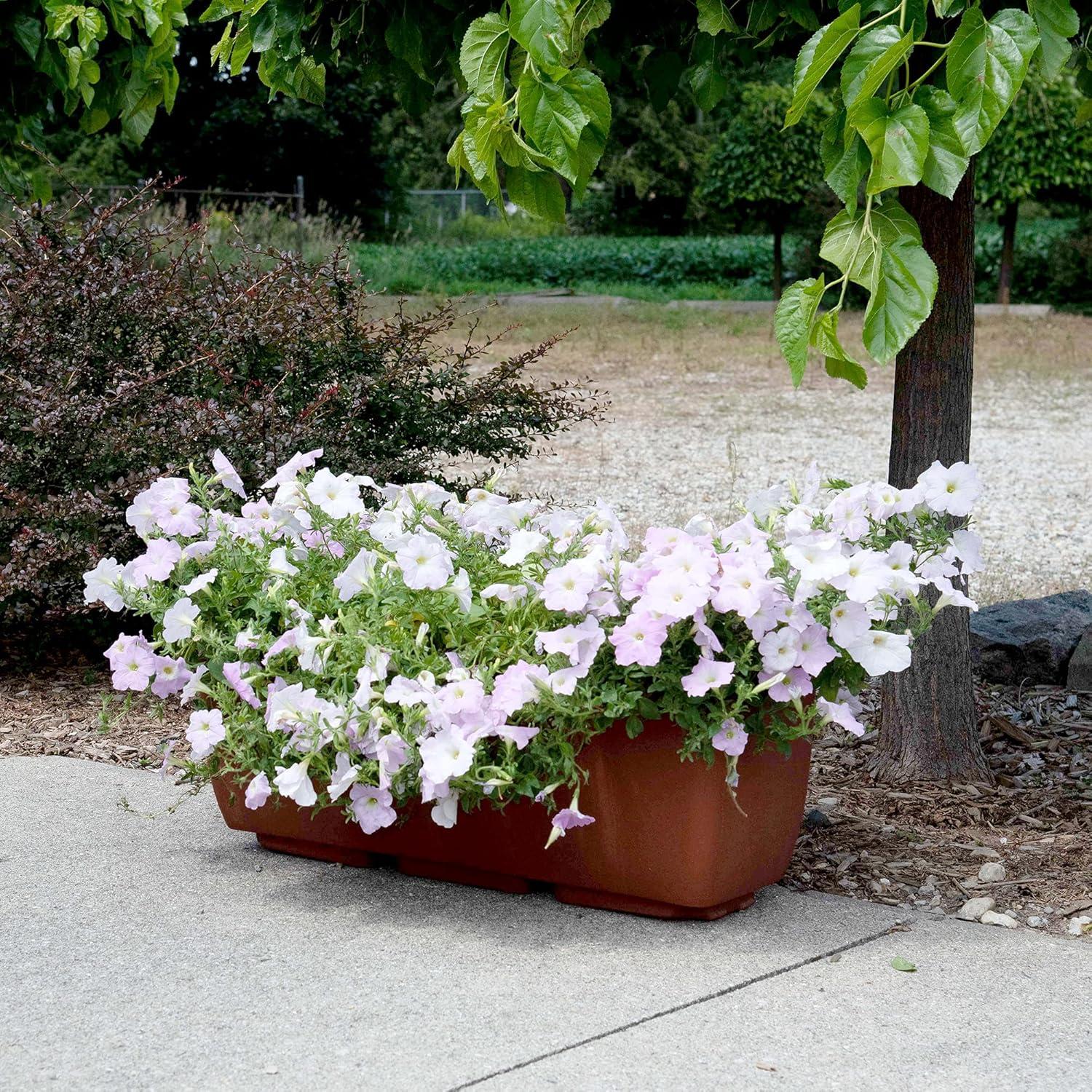 Terra Cotta Urban Rectangular Planter for Indoor and Outdoor Use