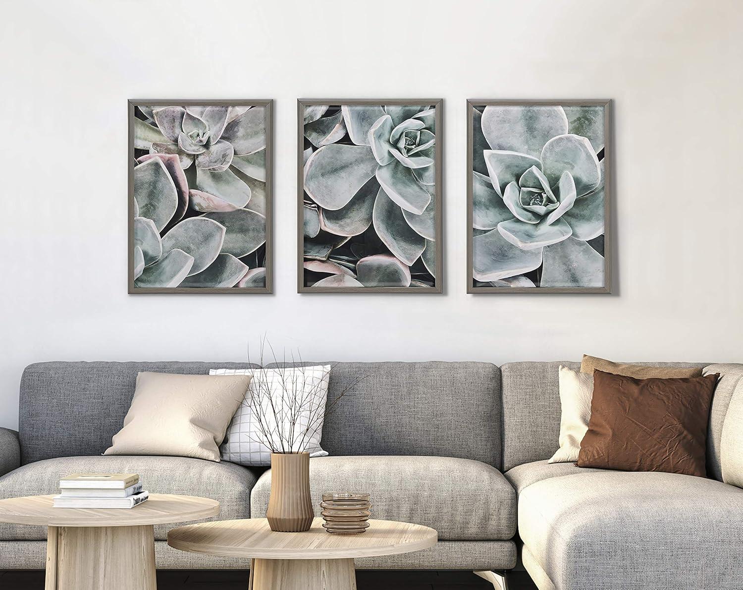 18" x 24" Blake Botanical Succulent Plants 2 Framed Printed Glass by the Creative Bunch Studio Gray - Kate & Laurel All Things Decor