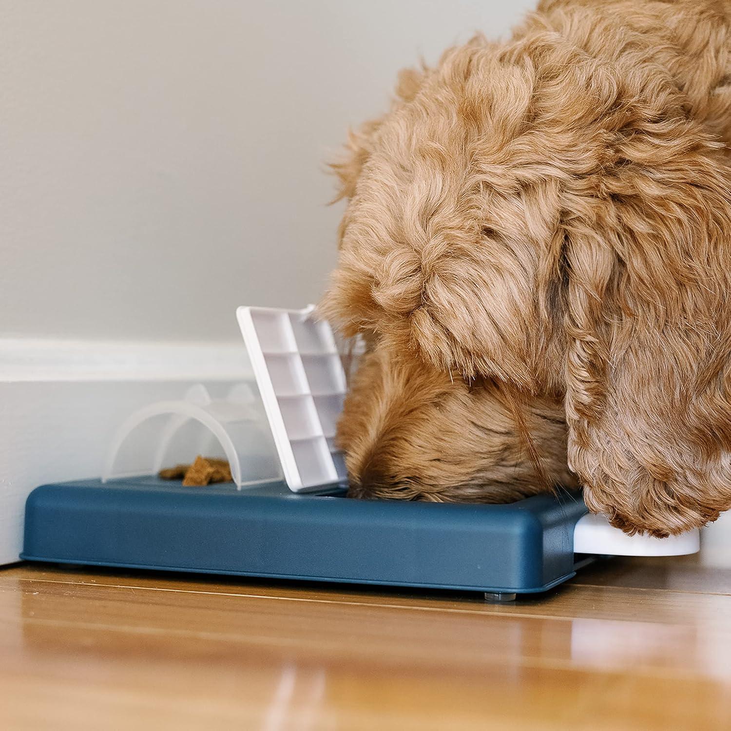 Franklin Pet Supply Interactive Dog Toy + Puzzle Feeder - Dog Food + Treat Puzzle Game Set for Small, Medium + Large Dogs - Enrichment Training Toy + Slow Feeder for All Dogs