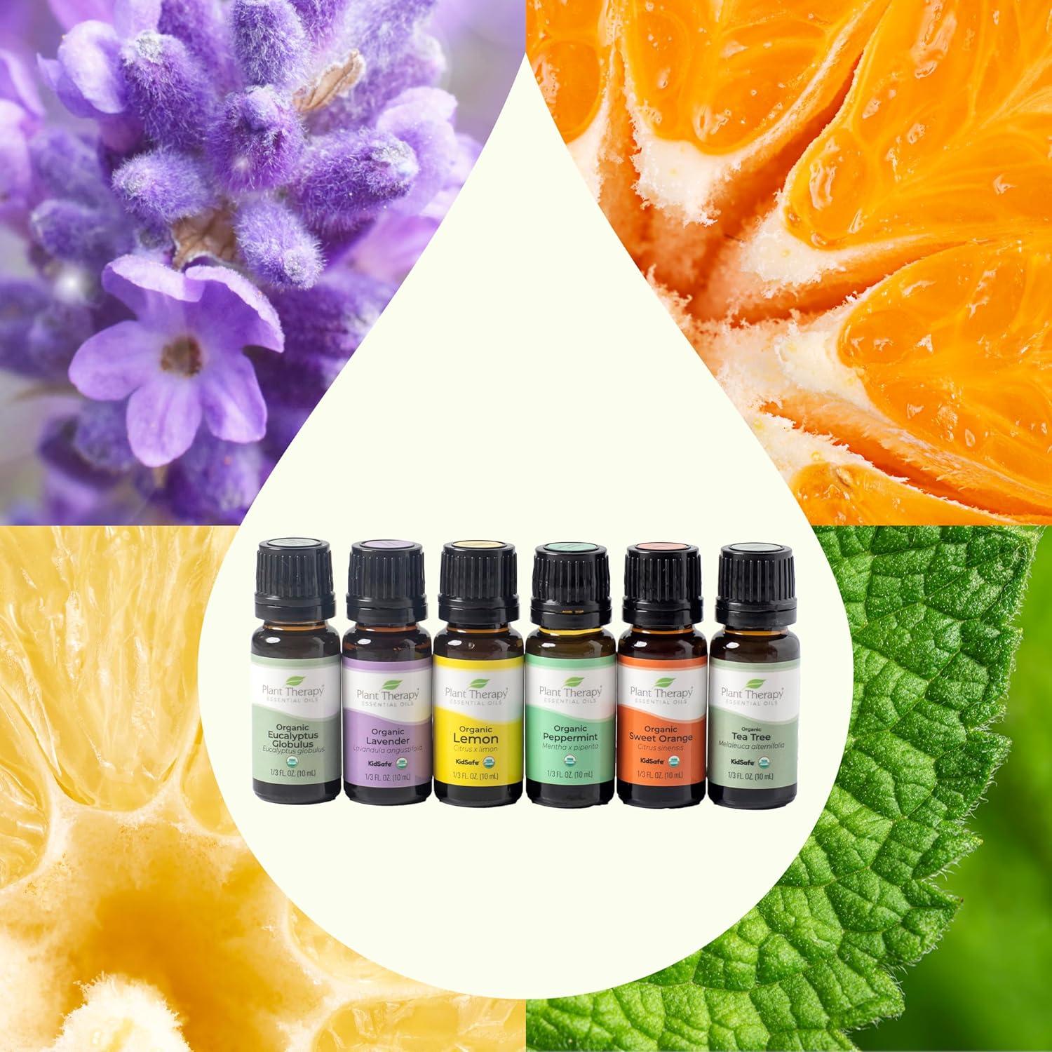 Plant Therapy Top 6 Organic Essential Oil Set - Lavender, Peppermint, Eucalyptus, Lemon, Tea Tree 100% Pure, USDA Organic, Natural Aromatherapy, Therapeutic Grade 10 mL (1/3 oz)