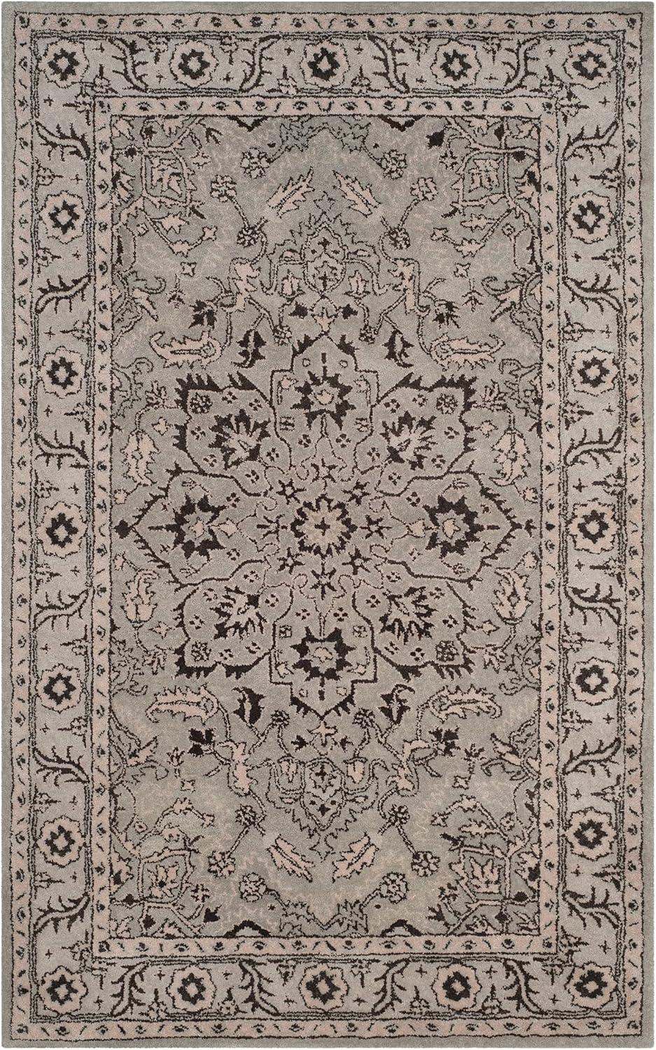 Antiquity AT58 Hand Tufted Area Rug  - Safavieh