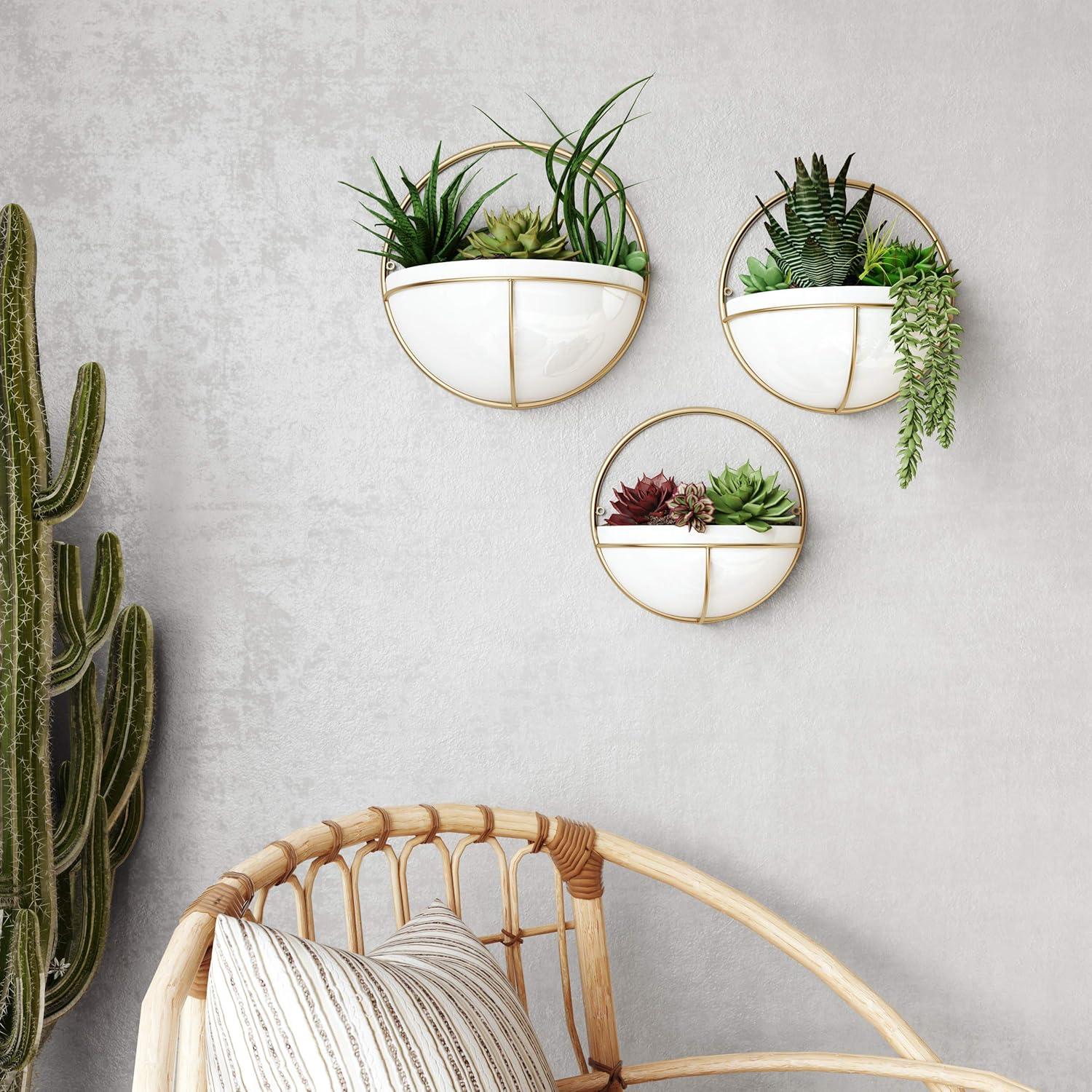 Isley Modern Wall Planters (Set of 3)