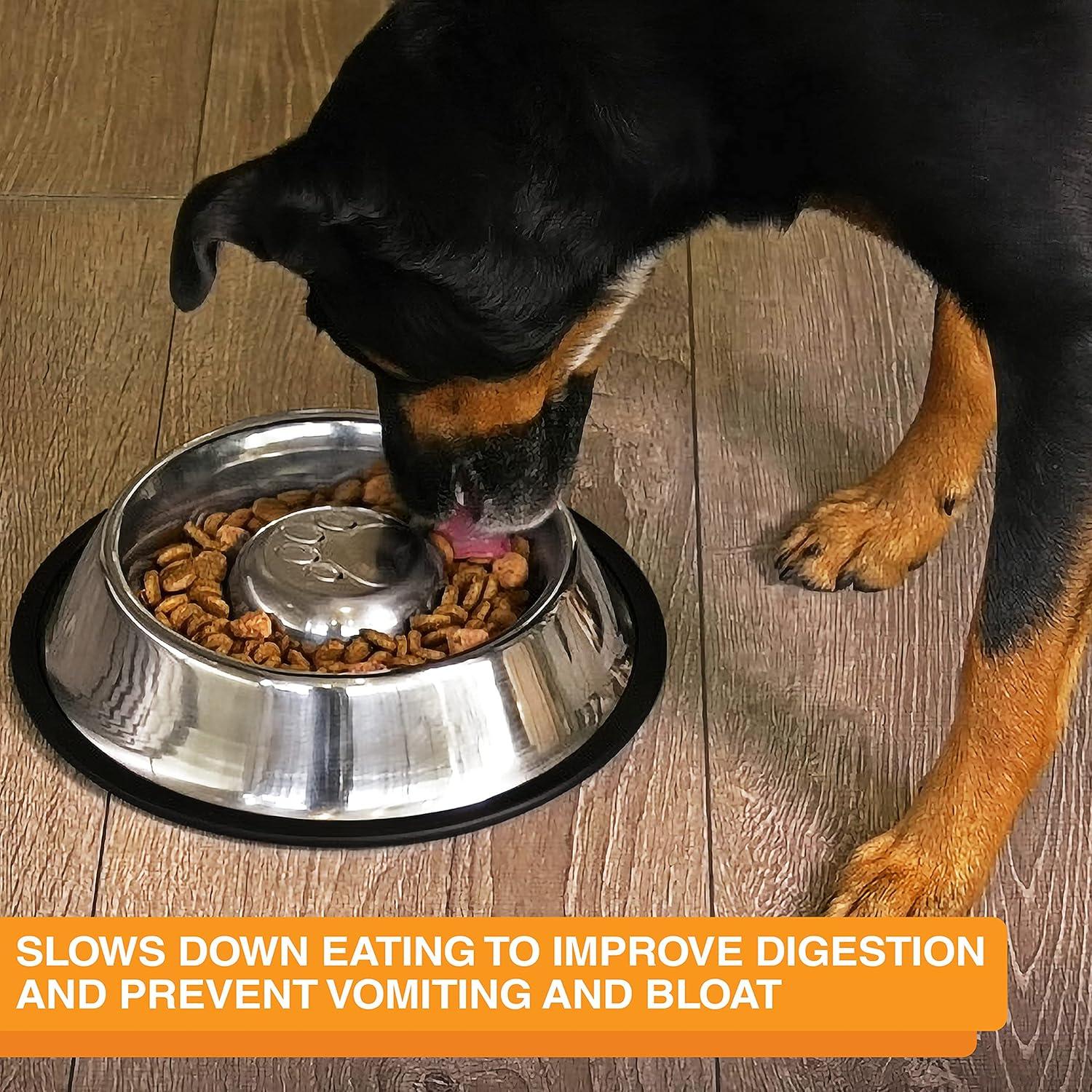 Neater Pets Stainless Steel Non-Tip Slow Feed Bowl - Improves Digestion, Stops Obesity, and Slows Down Eating, 3/4 Cup