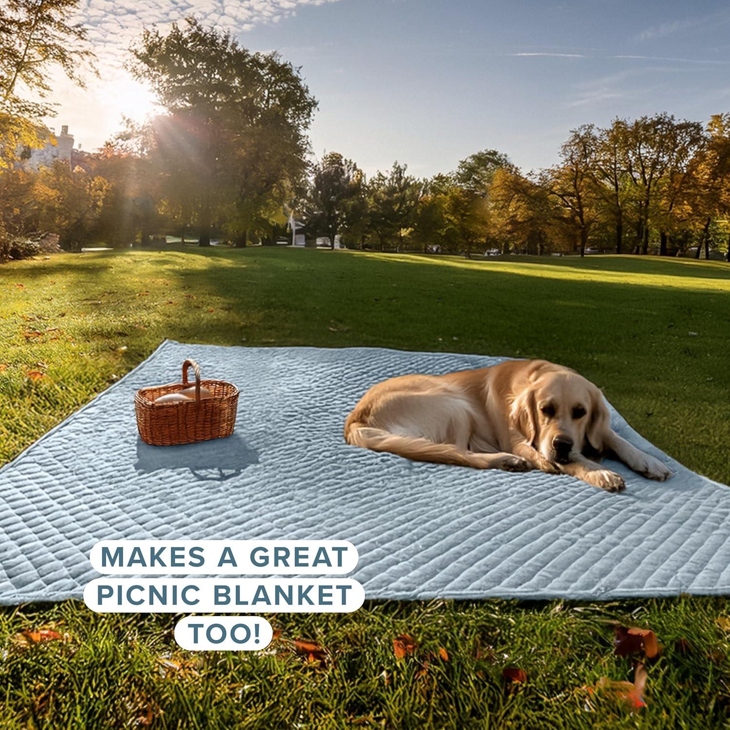Bare Home Modern & Contemporary Coverlet Set