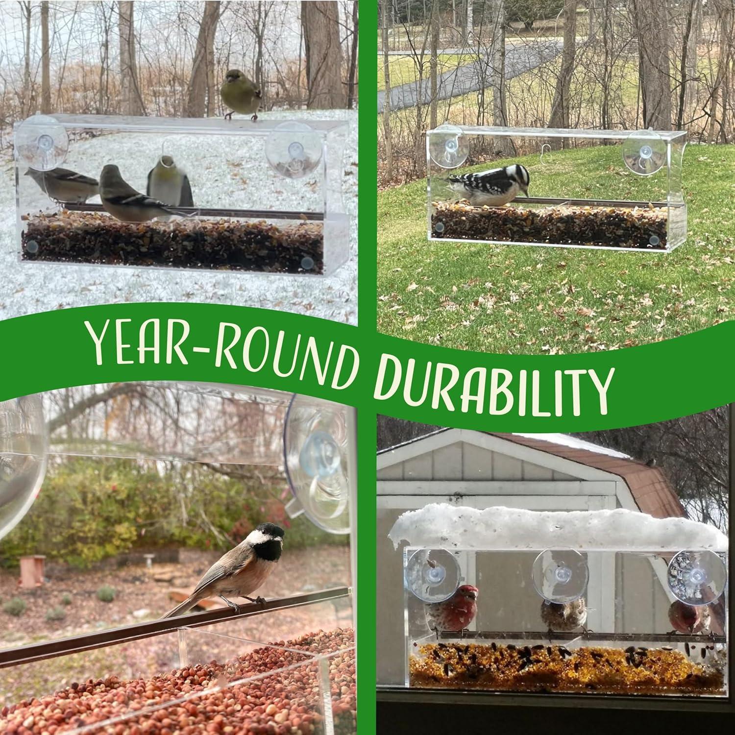 Nature’s Hangout Clear Suction Cup Window Bird Feeder for Wild Birds