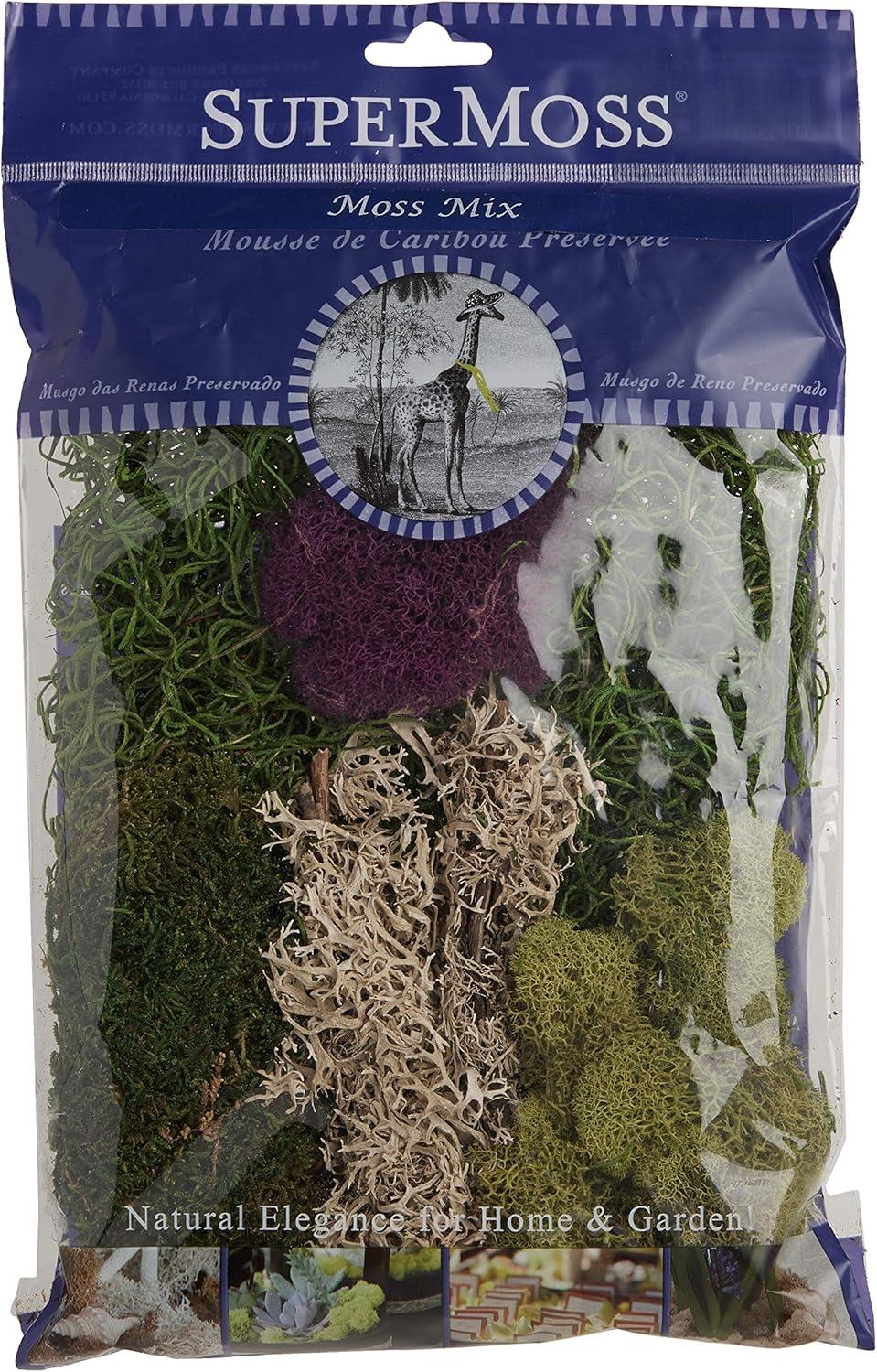 Super Moss SuperMoss Preserved Moss Mix, Mixed Colors, Approx. 2oz | Wayfair